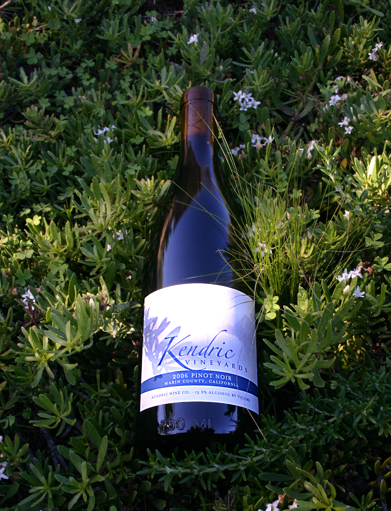 Kendric Vineyards 2006 Pinot Noir 750ml Wine Bottle
