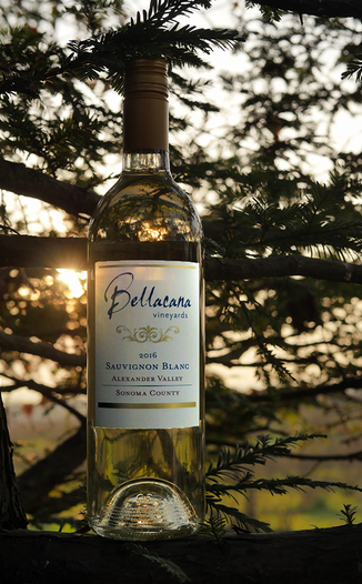 Bellacana Vineyards 2016 Alexander Valley Sonoma County Sauvignon Blanc 750ml Wine Bottle