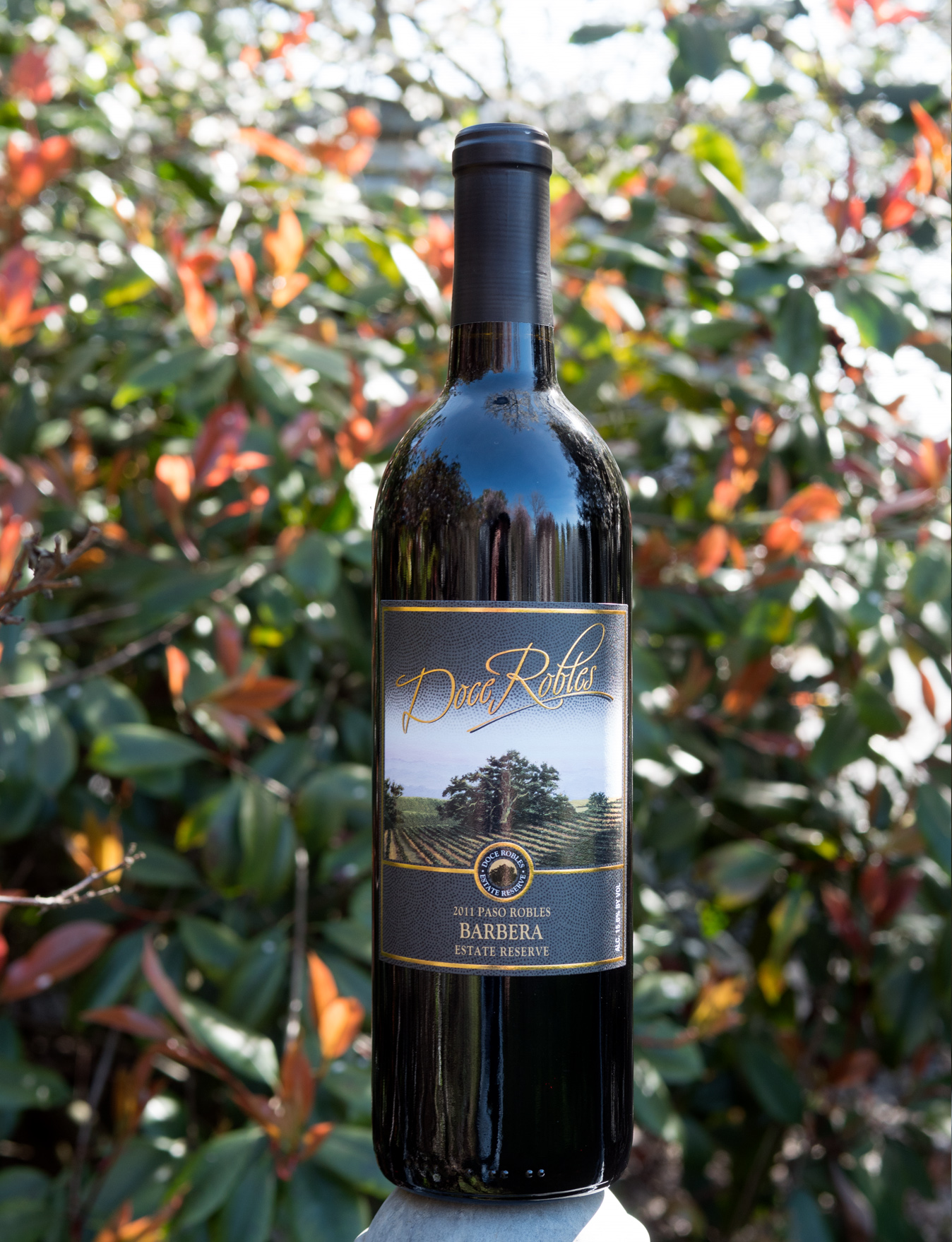 Doce Robles 2011 Paso Robles Barbera Estate Reserve 750ml Wine Bottle