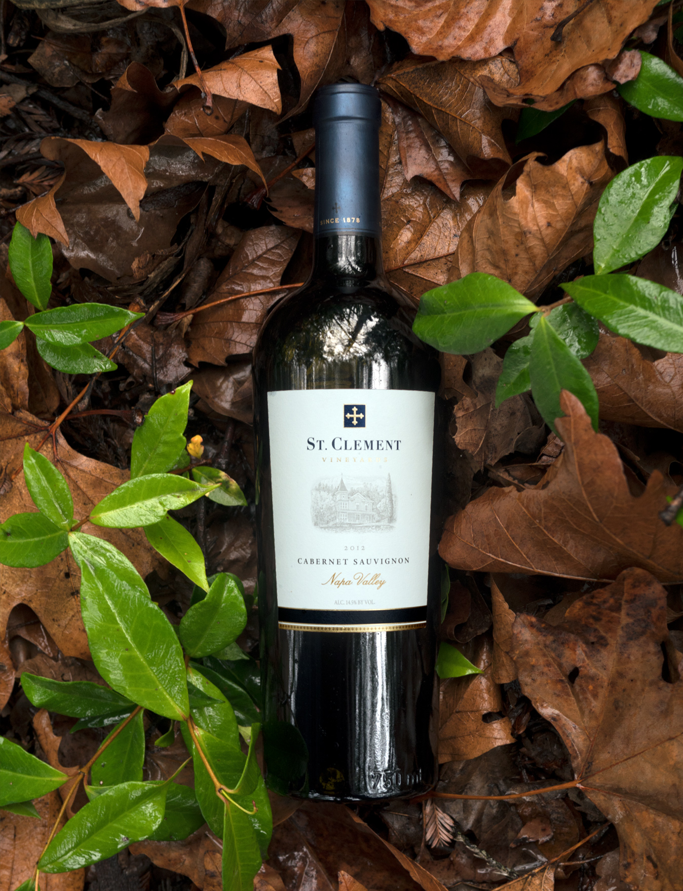 St. Clement Vineyards 2012 Napa Valley Cabernet Sauvignon 750ml Wine Bottle