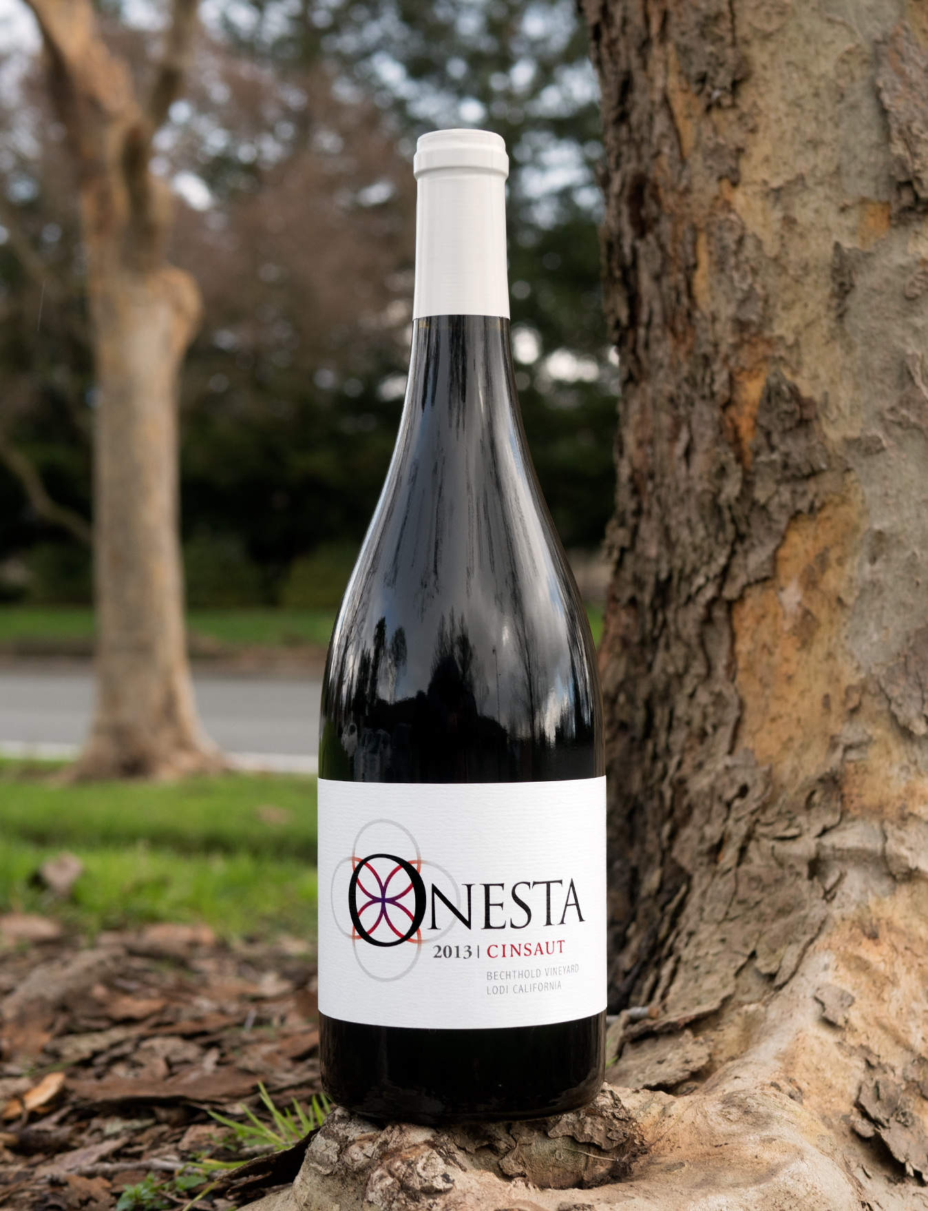 Onesta Wines 2013 Bechthold Vineyard Lodi California Cinsaut 750ml Wine Bottle
