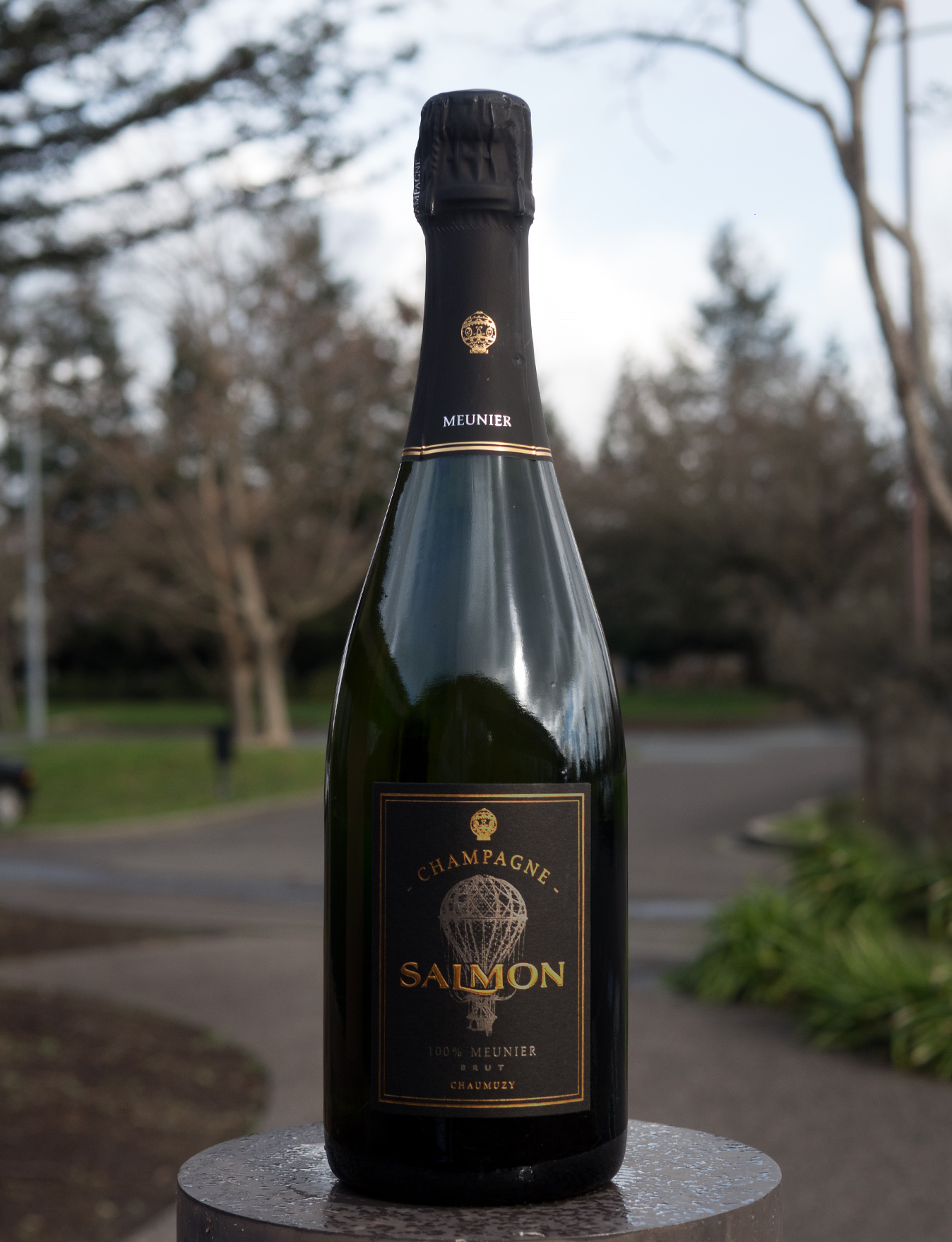 Champagne Salmon NV NV AOC Chaumuzy Brut Pinot Meunier Champagne 750ml Wine Bottle