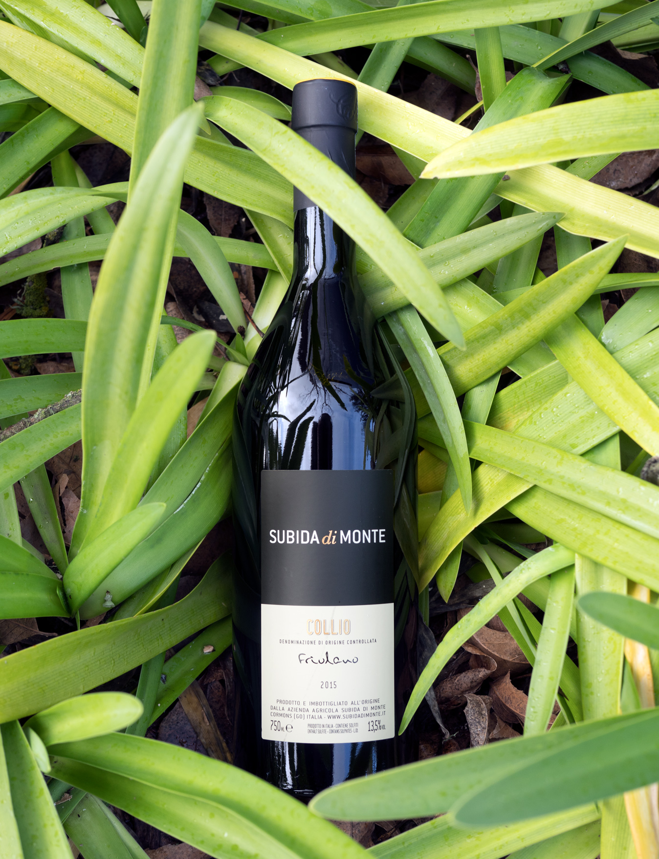 Subida di Monte 2015 Collio DOC Friulano 750ml Wine Bottle