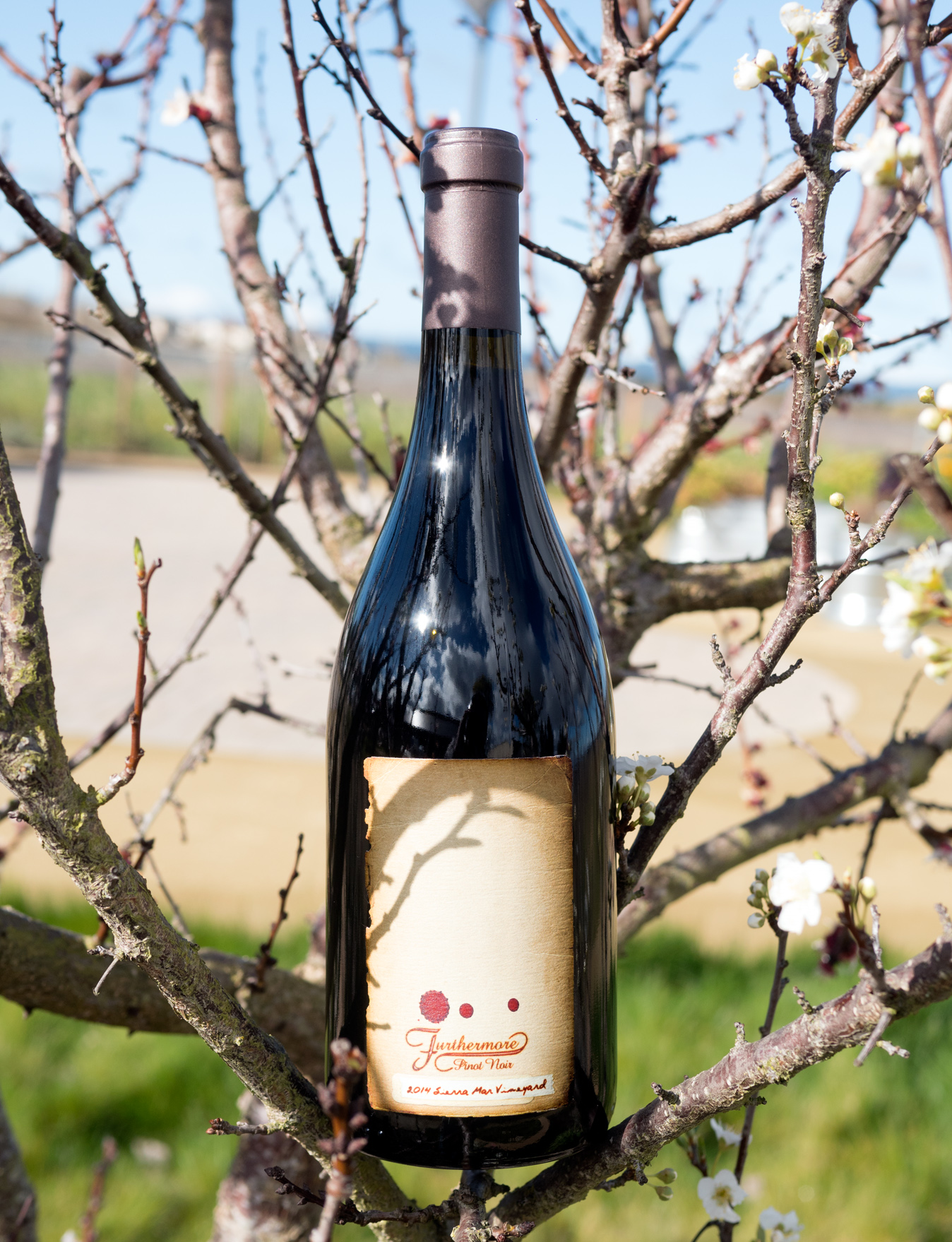 Furthermore 2014 Sierra Mar Vineyard Santa Lucia Highlands Pinot Noir 750ml Wine Bottle