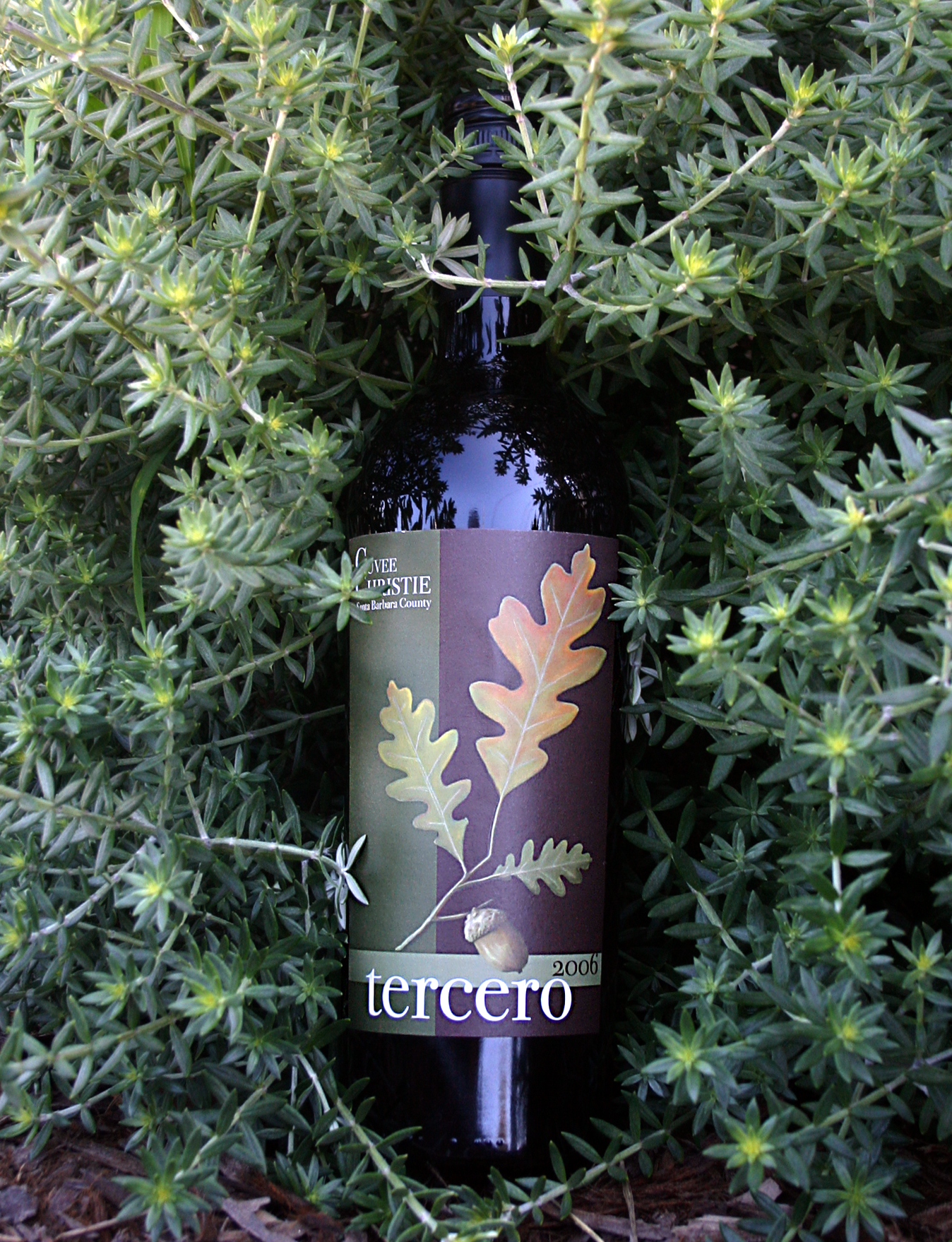 Tercero Wines 2006 Cuvee Christie 750ml Wine Bottle