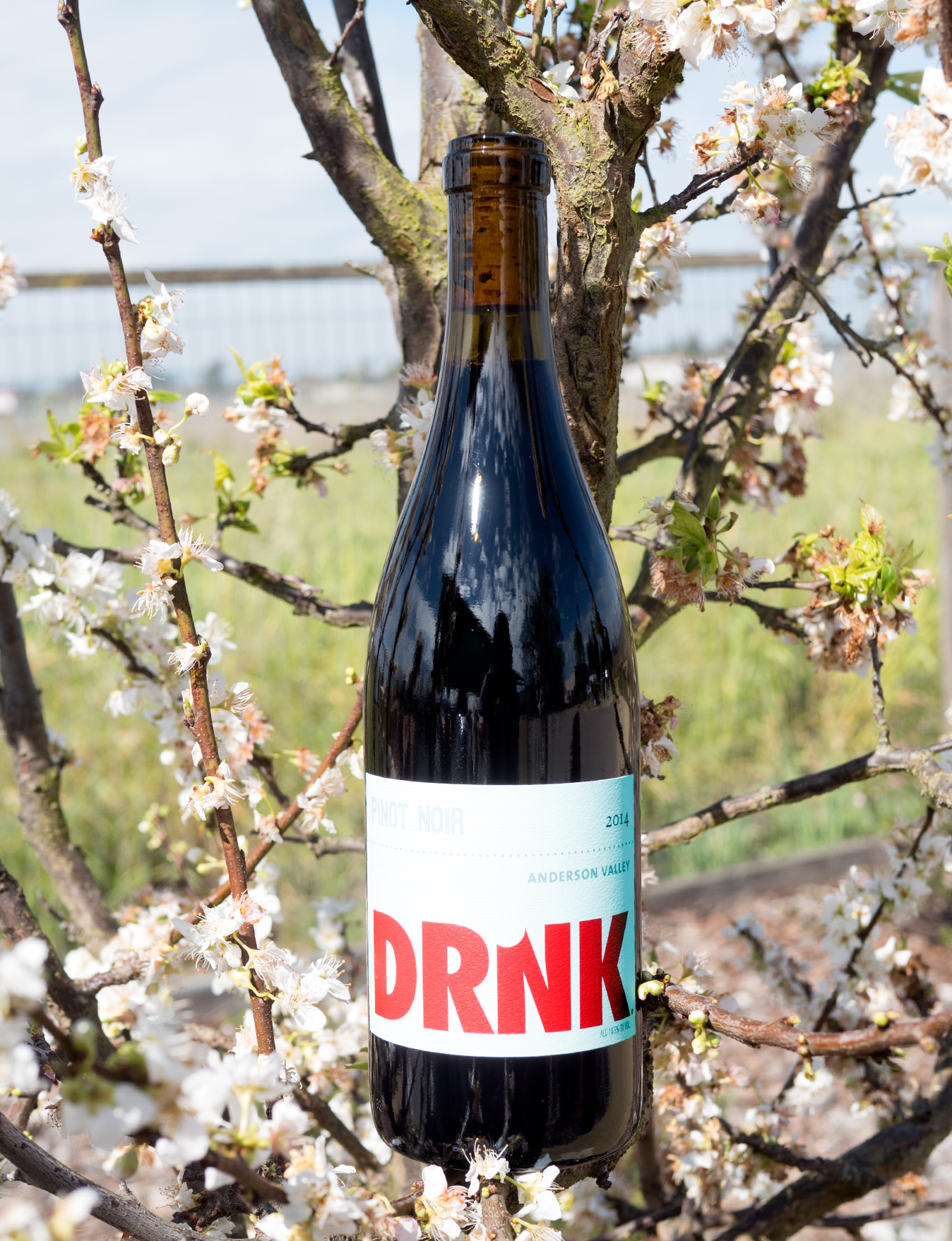DRNK Wines 2014 Anderson Valley Pinot Noir 750ml Wine Bottle