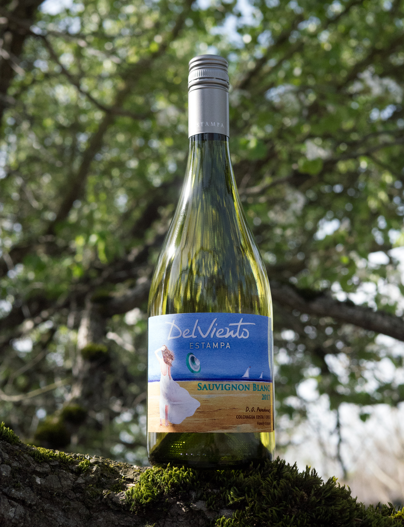 Estampa 2017 Del Viento D.O. Paredones Colchagua Costa Chile Sauvignon Blanc 750ml Wine Bottle