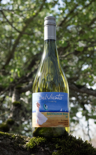 Estampa 2017 Del Viento D.O. Paredones Colchagua Costa Chile Sauvignon Blanc 750ml Wine Bottle