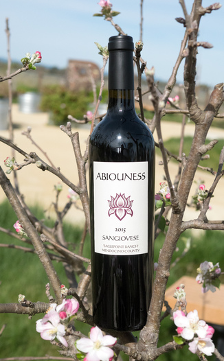 Abiouness Wines 2015 Eaglepoint Ranch Mendocino County Sangiovese 750ml Wine Bottle