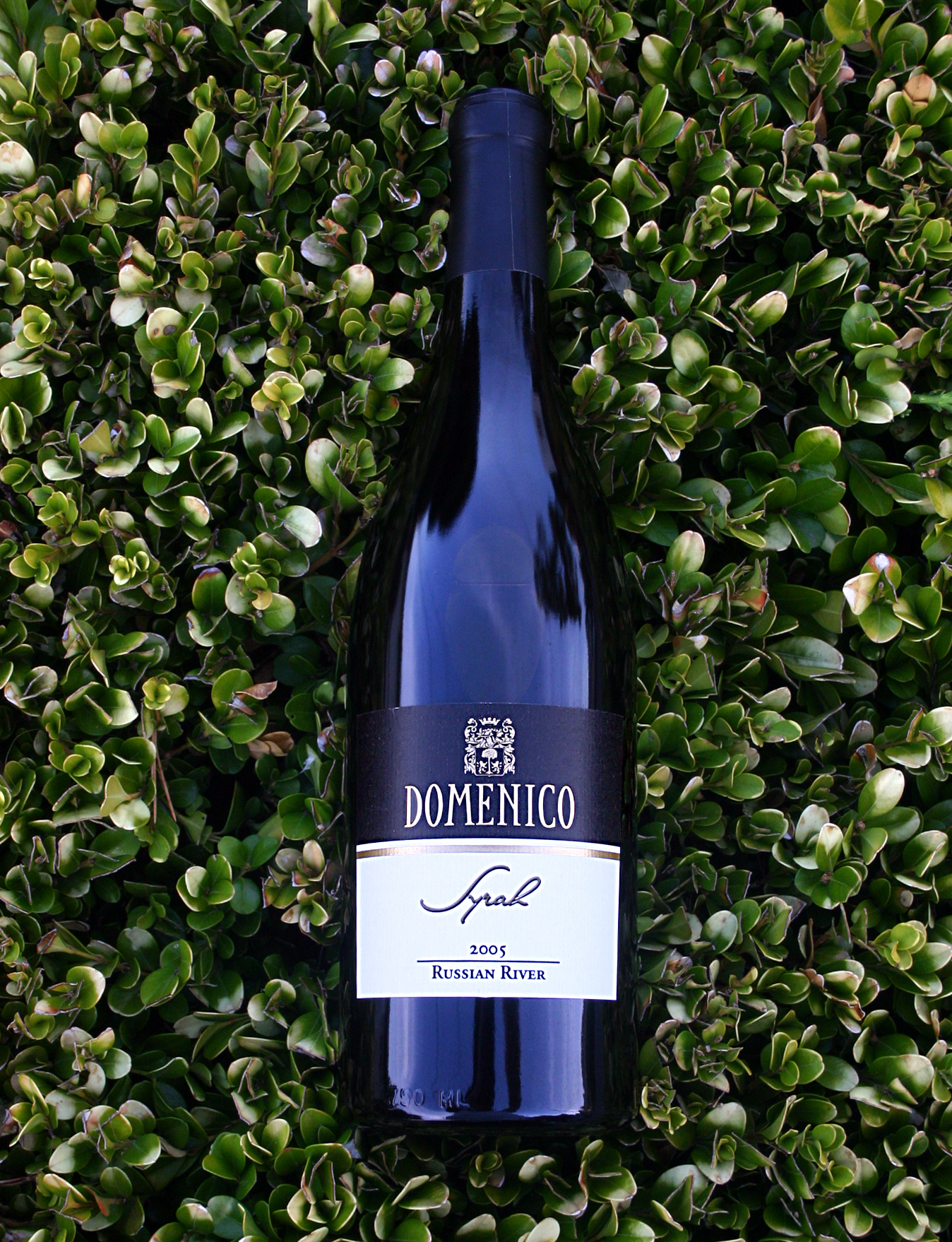 Domenico Wines 2005 Syrah, Russian River Valley 750ml Wine Bottle