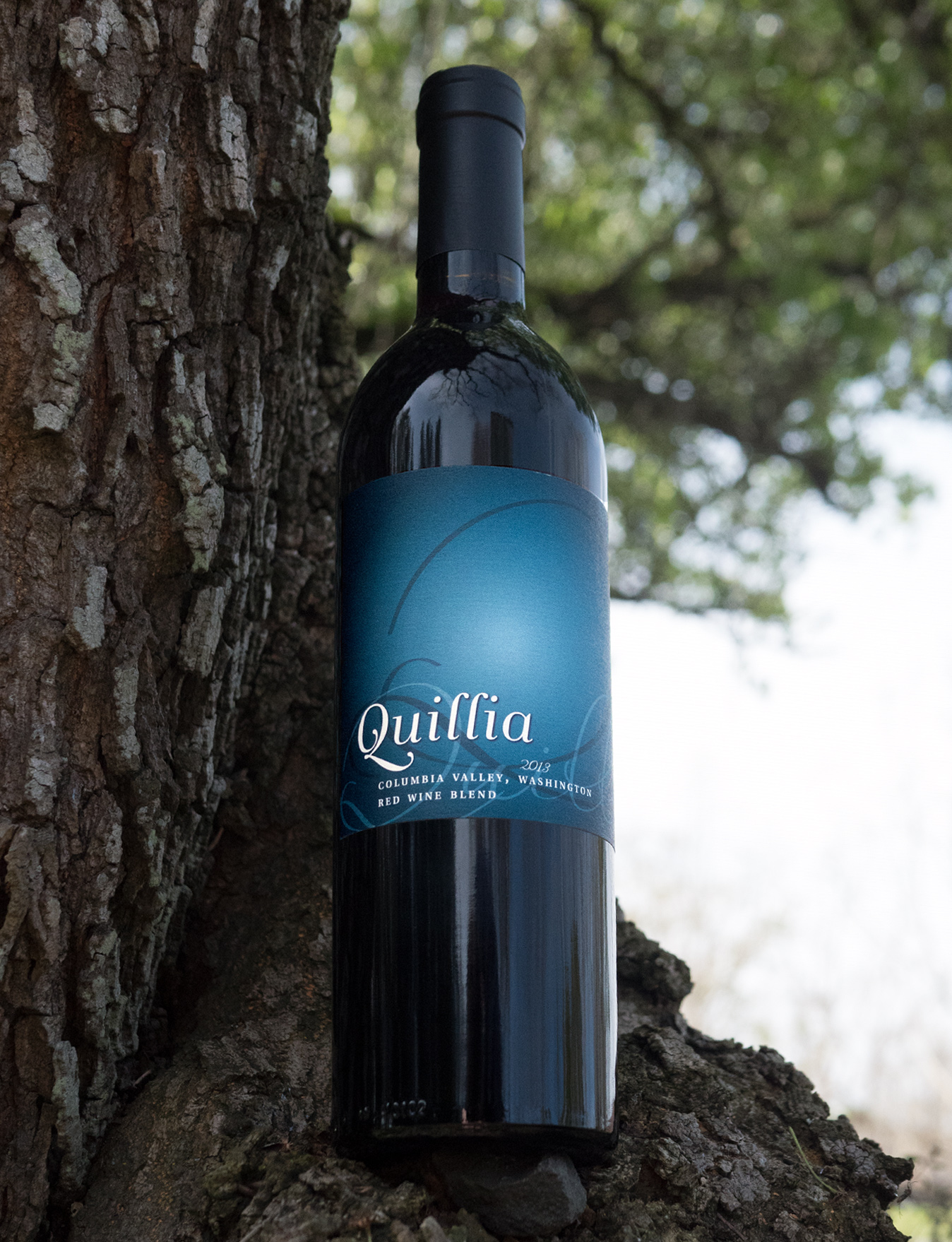 Quillia 2013 Columbia Valley Washington Red Wine Blend 750ml Wine Bottle