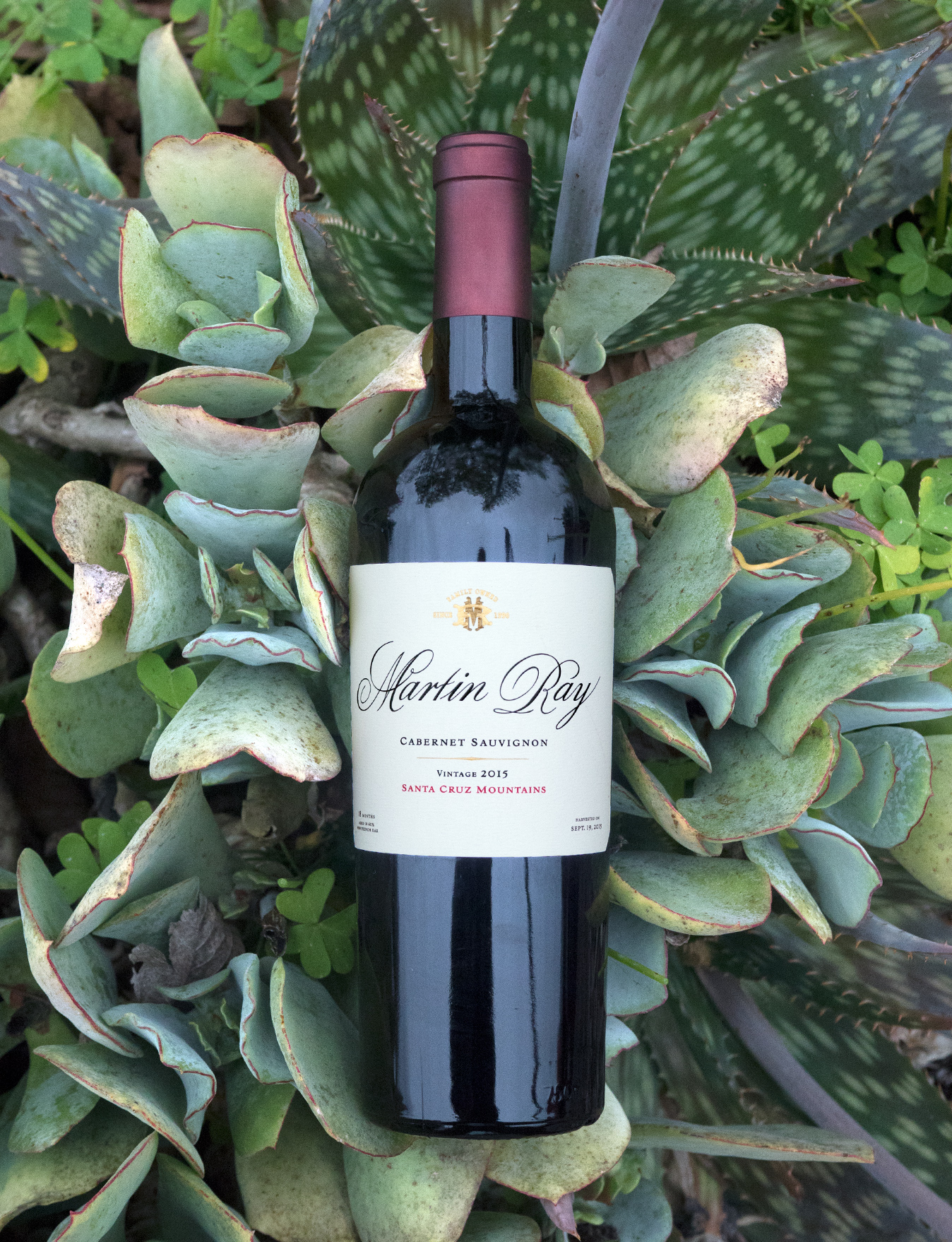 Martin Ray 2015 Santa Cruz Mountains Cabernet Sauvignon 750ml Wine Bottle