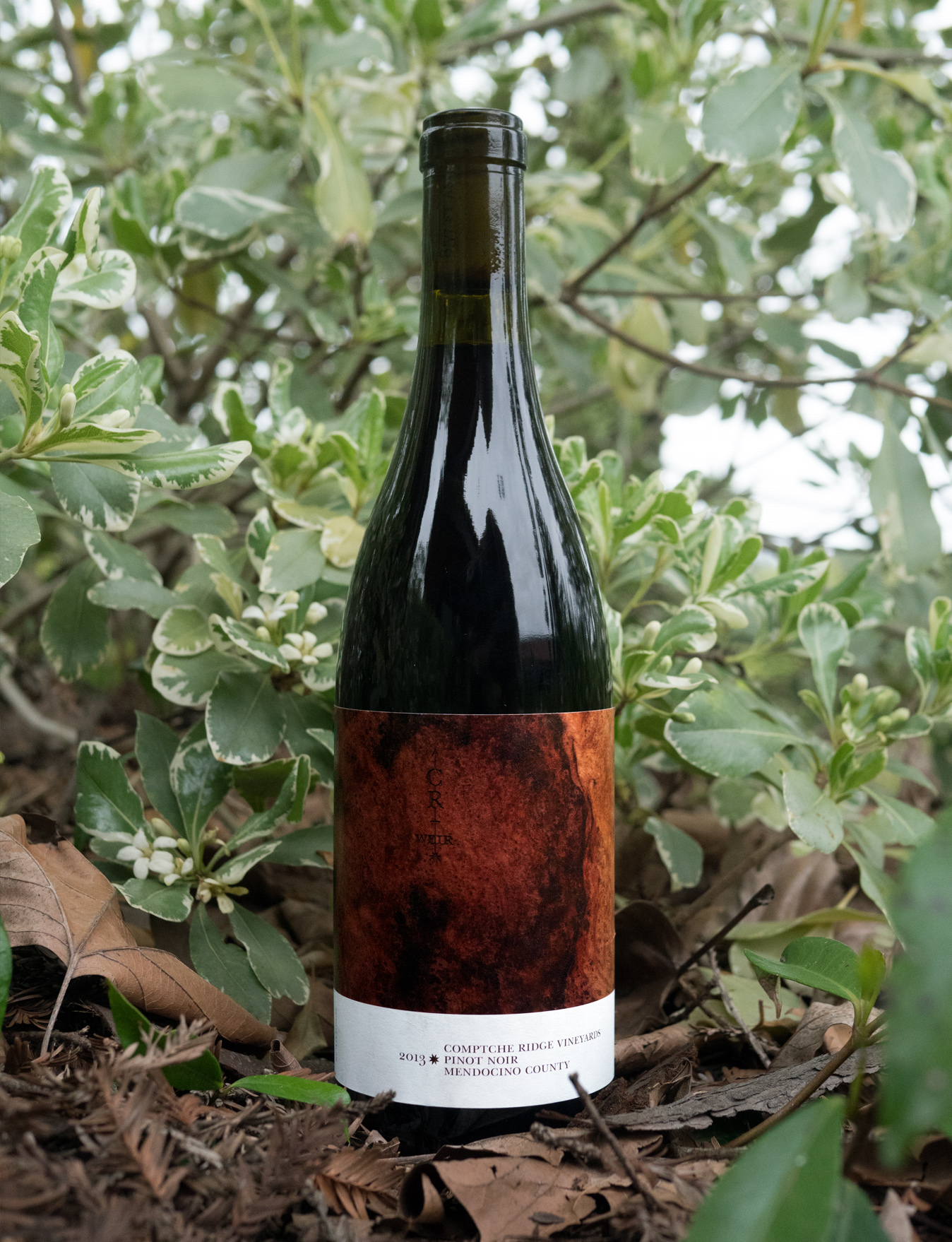 Comptche Ridge 2013 Comptche Ridge Vineyards Mendocino County Pinot Noir 750ml Wine Bottle