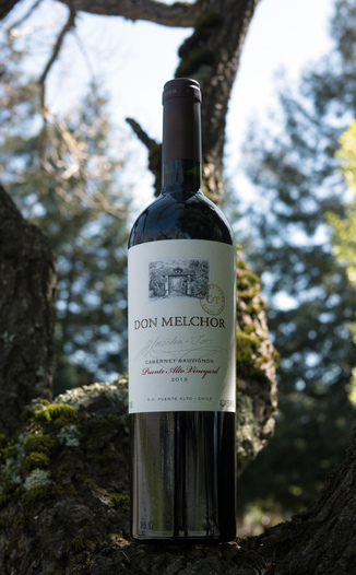 Viña Don Melchor 2013 Puente Alto Vineyard Cabernet Sauvignon 750ml Wine Bottle