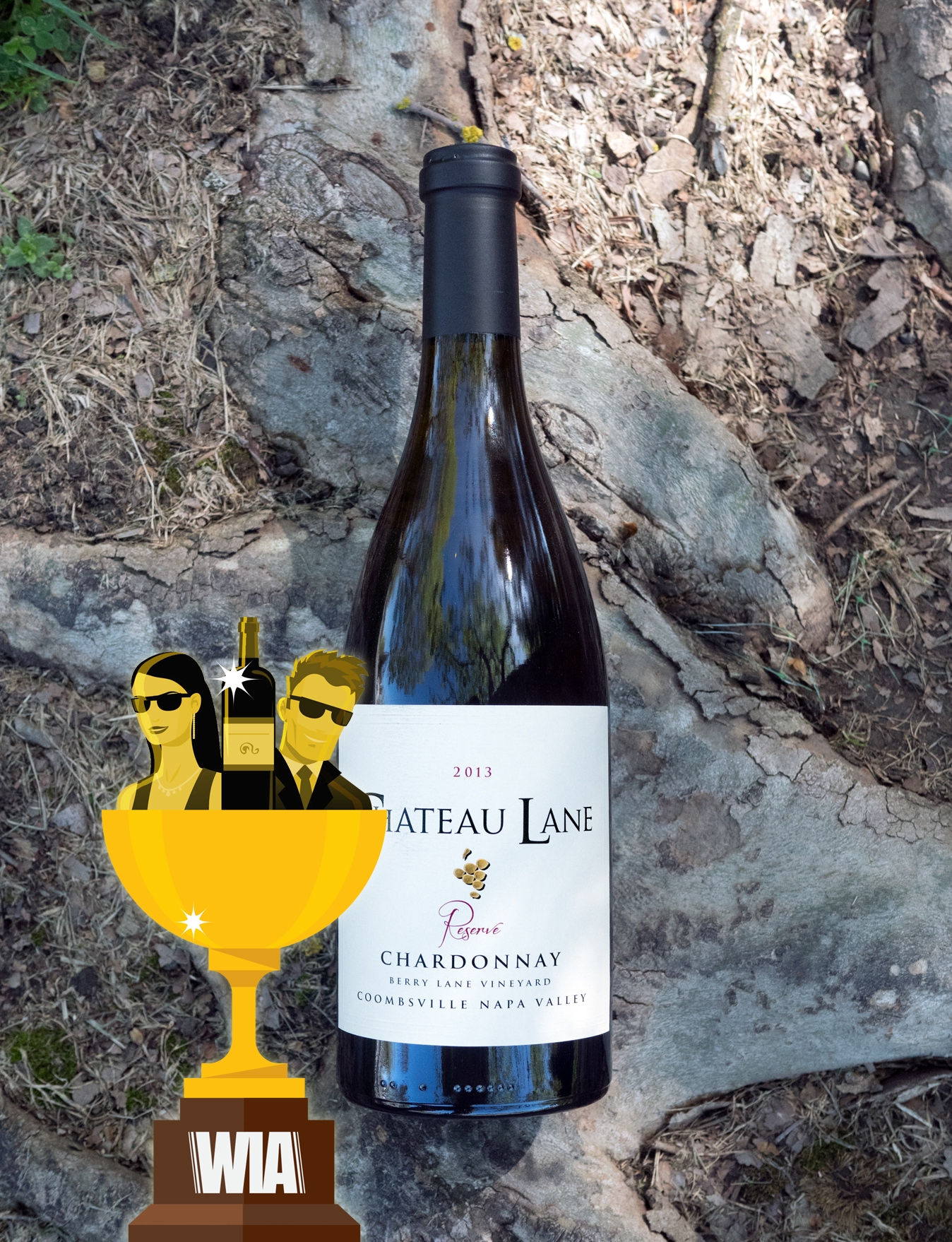 Chateau Lane 2013 Reserve Berry Lane Vineyard Coombsville Napa Valley Chardonnay 750ml Wine Bottle