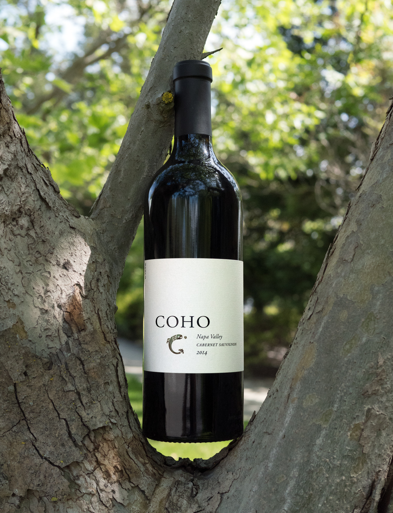 COHO 2014 Napa Valley Cabernet Sauvignon 750ml Wine Bottle