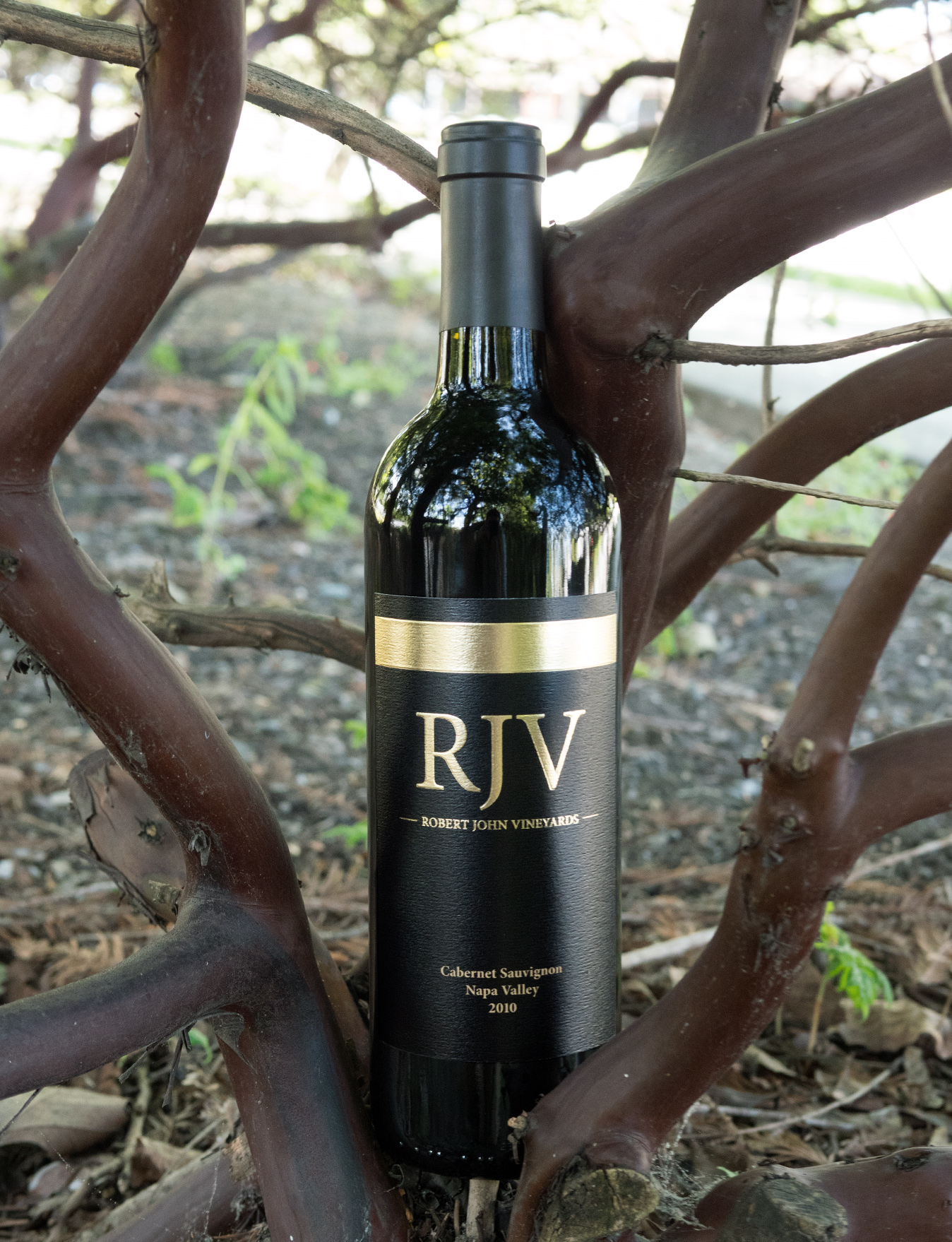 Robert John Vineyards 2010 Napa Valley Cabernet Sauvignon 750ml Wine Bottle