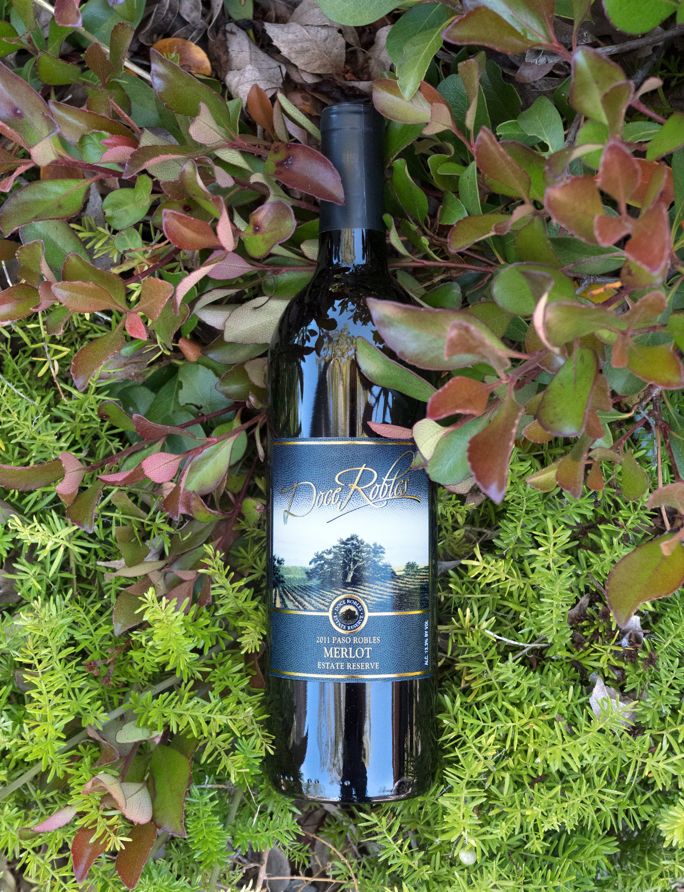 Doce Robles 2011 Estate Reserve Paso Robles Merlot 750ml Wine Bottle