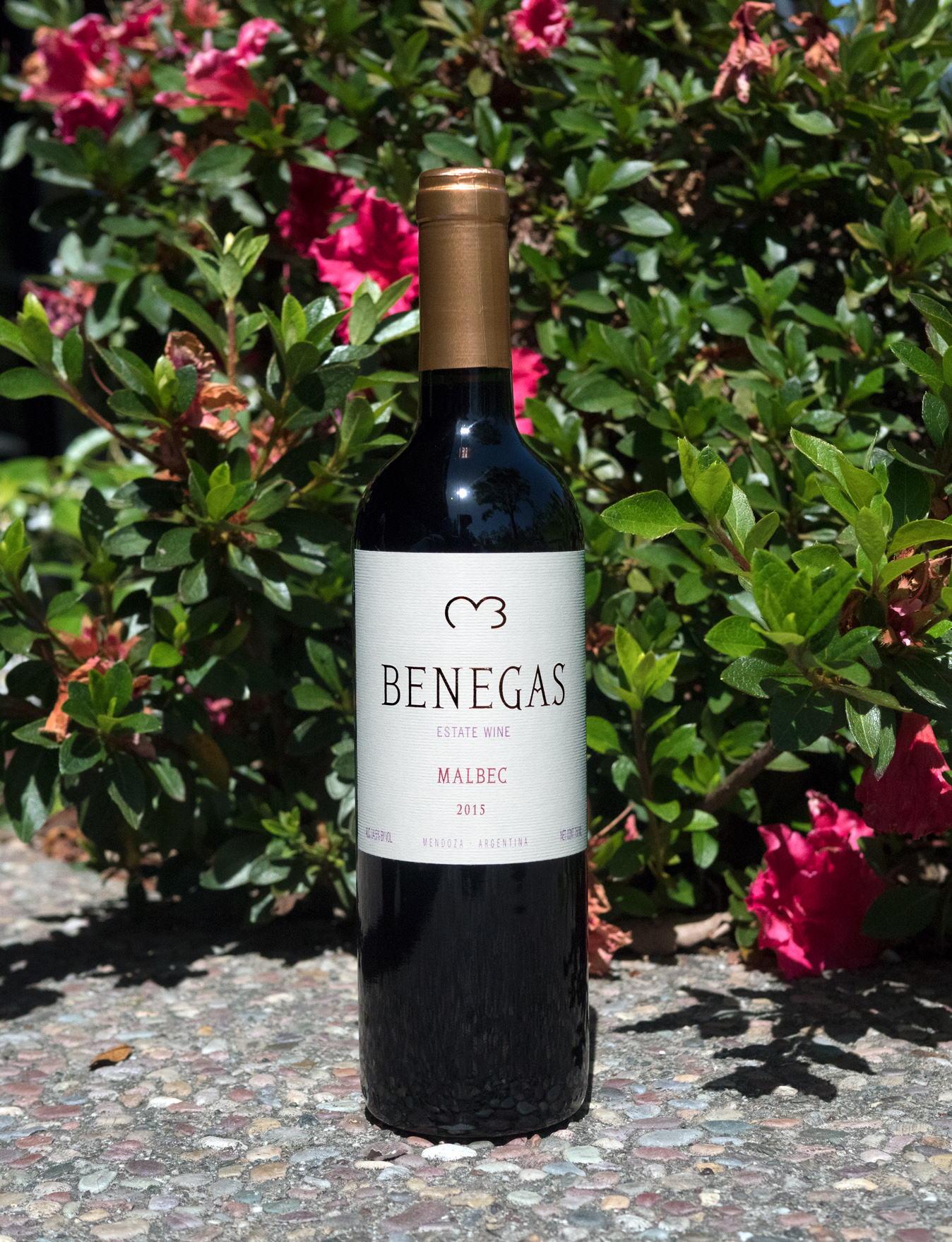 Benegas Lynch 2015 Estate Mendoza Argentina Malbec 750ml Wine Bottle