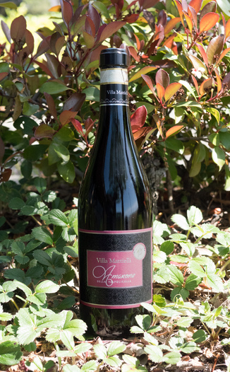 Villa Mattielli 2013 Amarone Della Valpolicella D.O.C.G. 750ml Wine Bottle