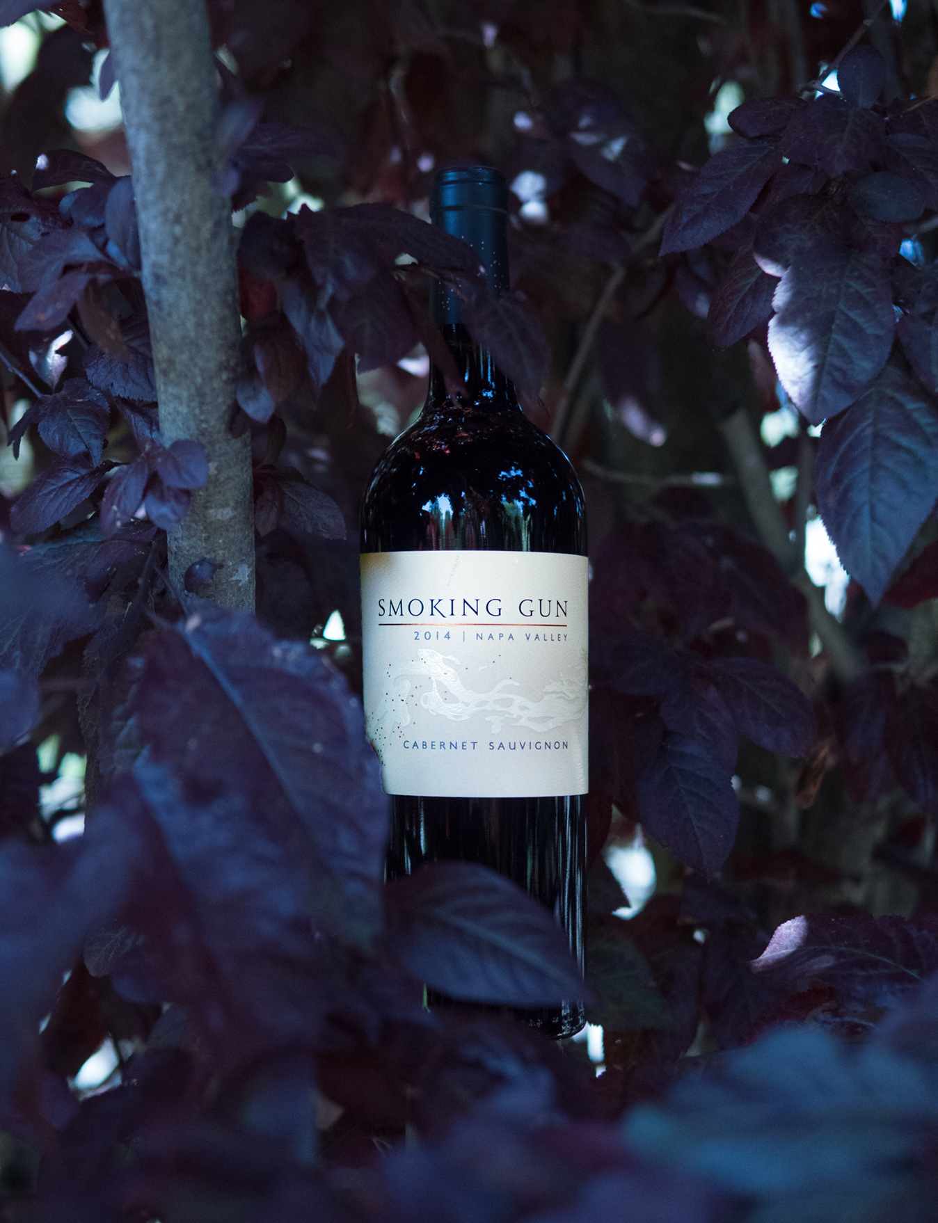 William Cole Vineyards 2014 Smoking Gun Napa Valley Cabernet Sauvignon 750ml Wine Bottle