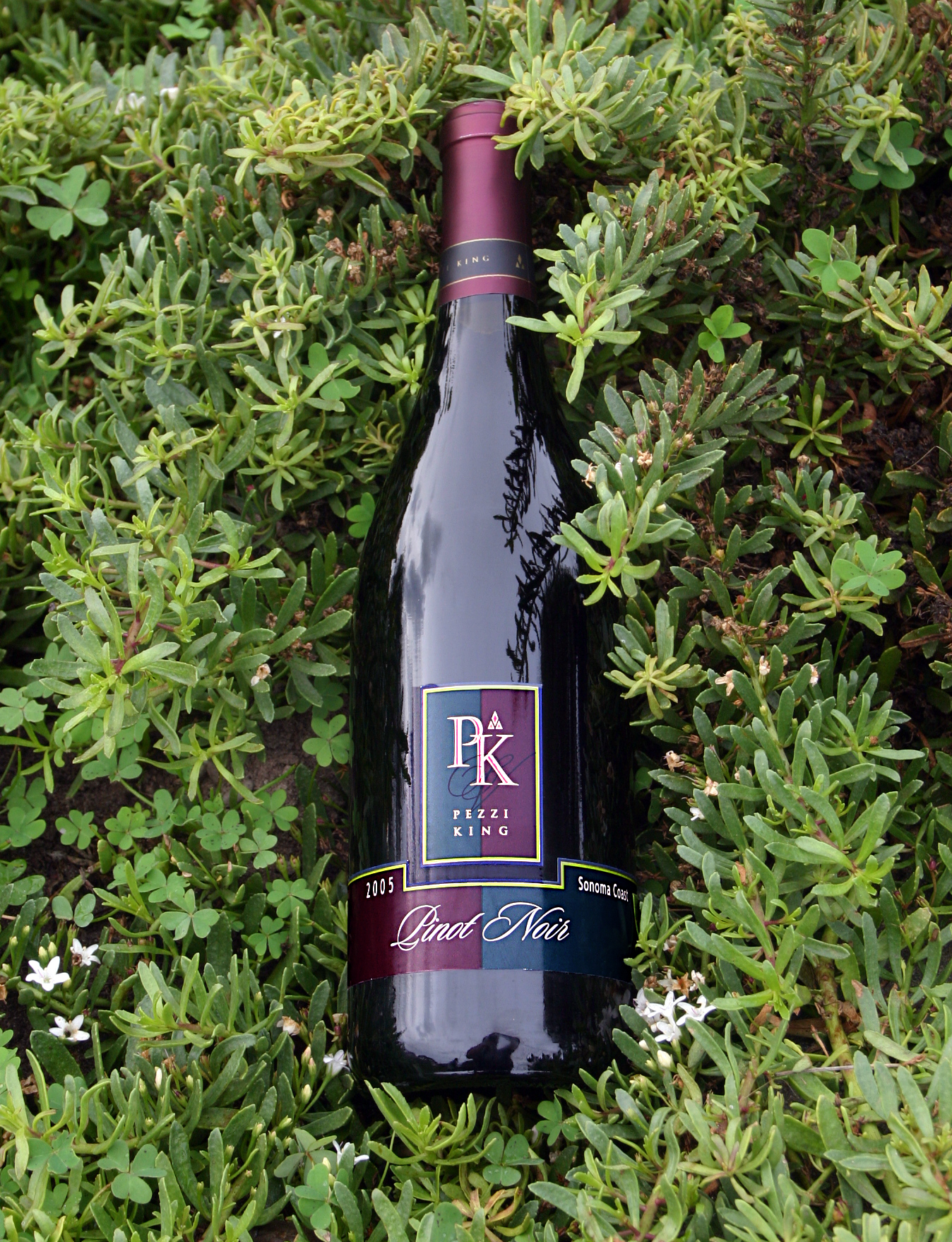 Pezzi King 2005 Sonoma Coast Pinot Noir 750ml Wine Bottle