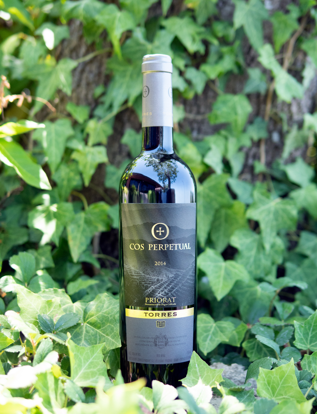 Torres 2014 "Cos Perpetual" Priorat DOC Red Blend 750ml Wine Bottle