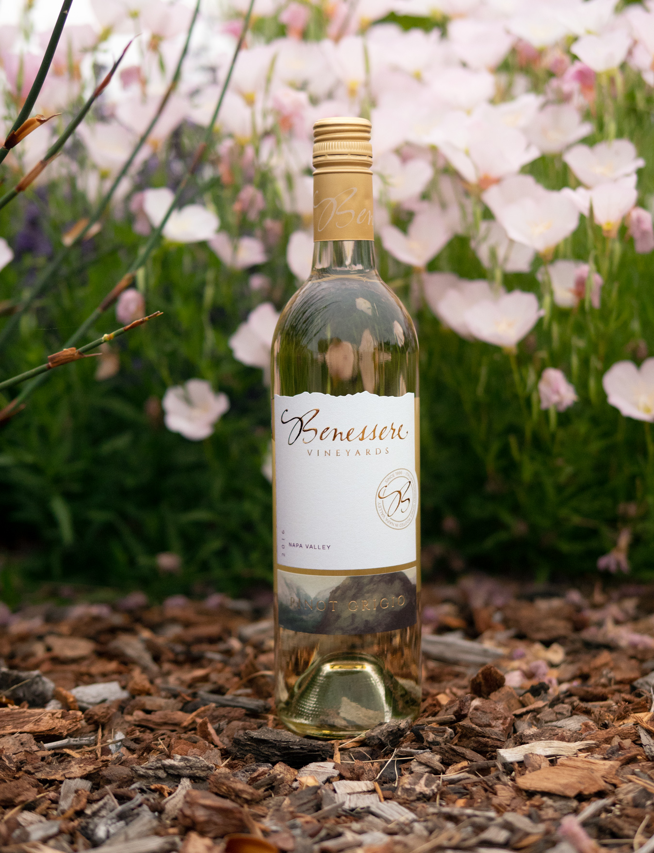 Benessere Vineyards 2016 Napa Valley Pinot Grigio 750ml Wine Bottle