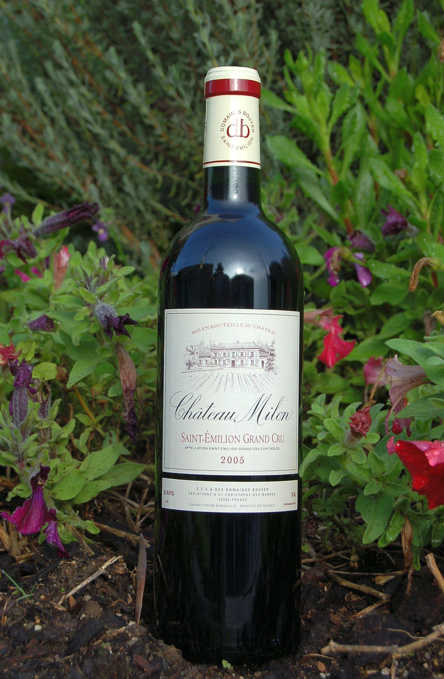 Chateau Milon 2005 Saint-Émilion Grand Cru AOC 750ml Wine Bottle