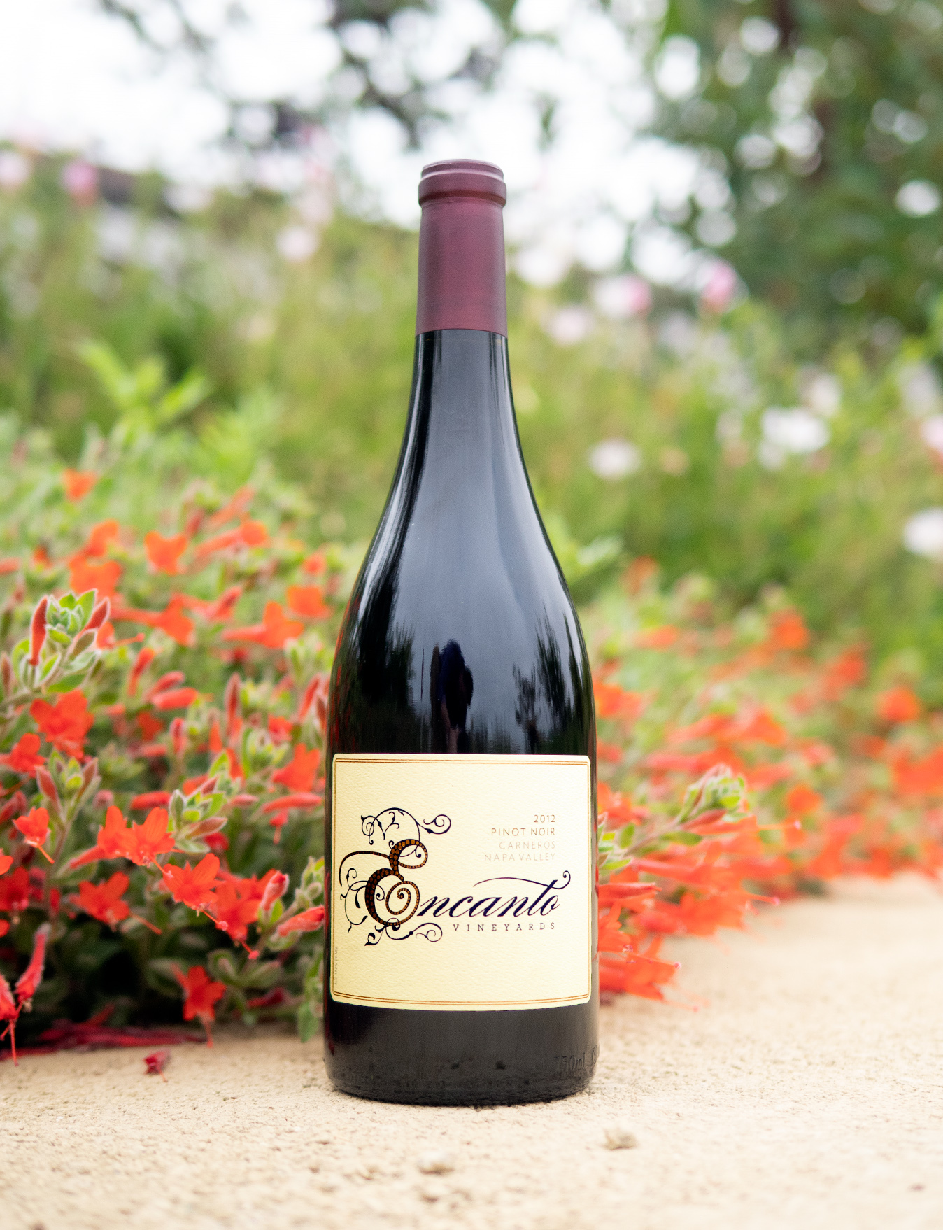 Encanto Vineyards 2012 Carneros Napa Valley Pinot Noir 750ml Wine Bottle