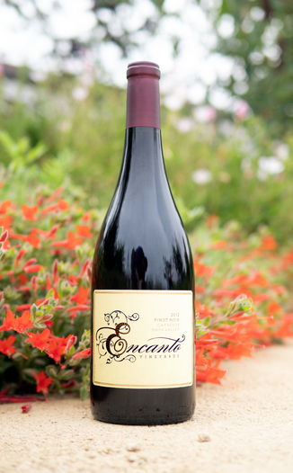 Encanto Vineyards 2012 Carneros Napa Valley Pinot Noir 750ml Wine Bottle