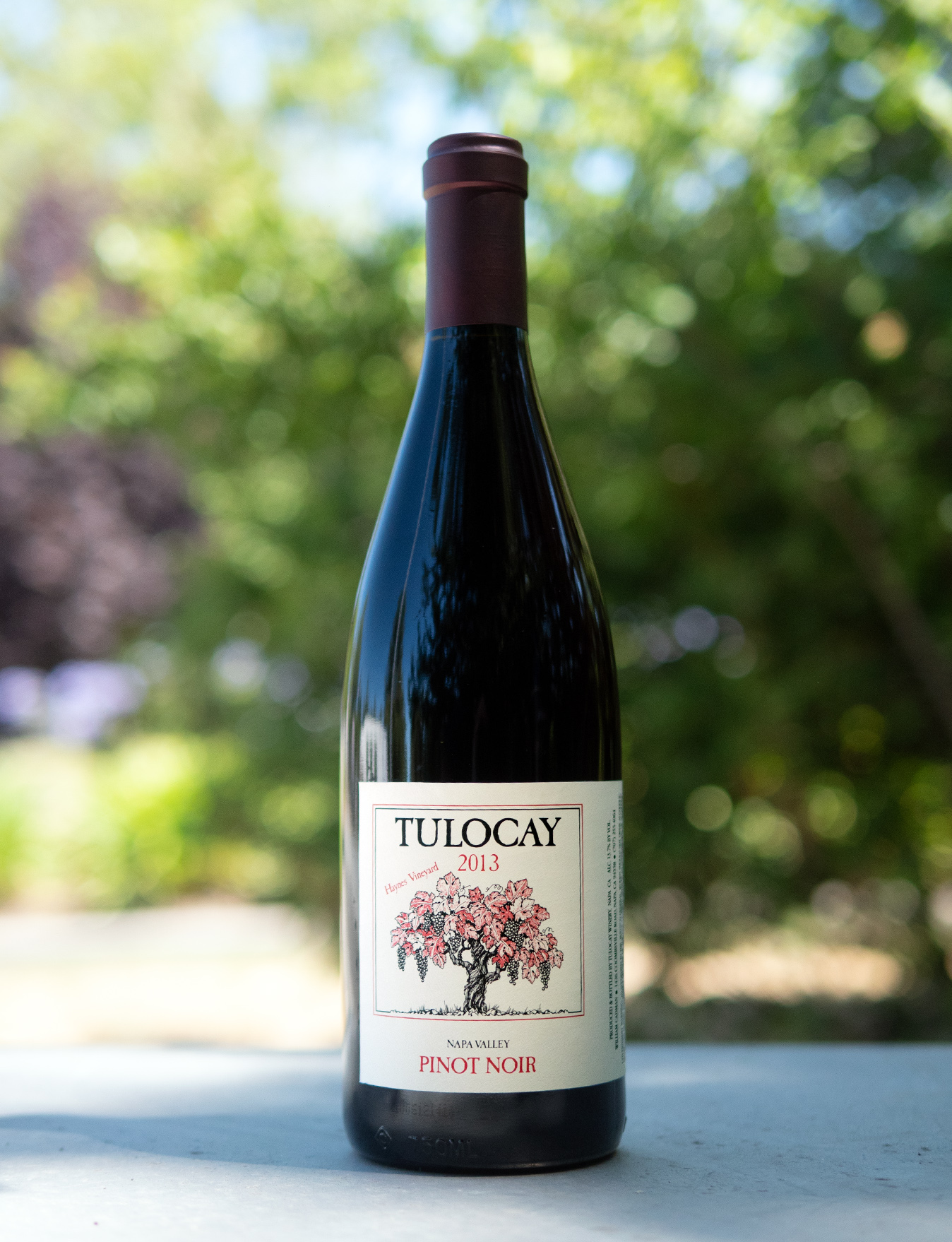Tulocay 2013 Haynes Vineyard Napa Valley Pinot Noir 750ml Wine Bottle
