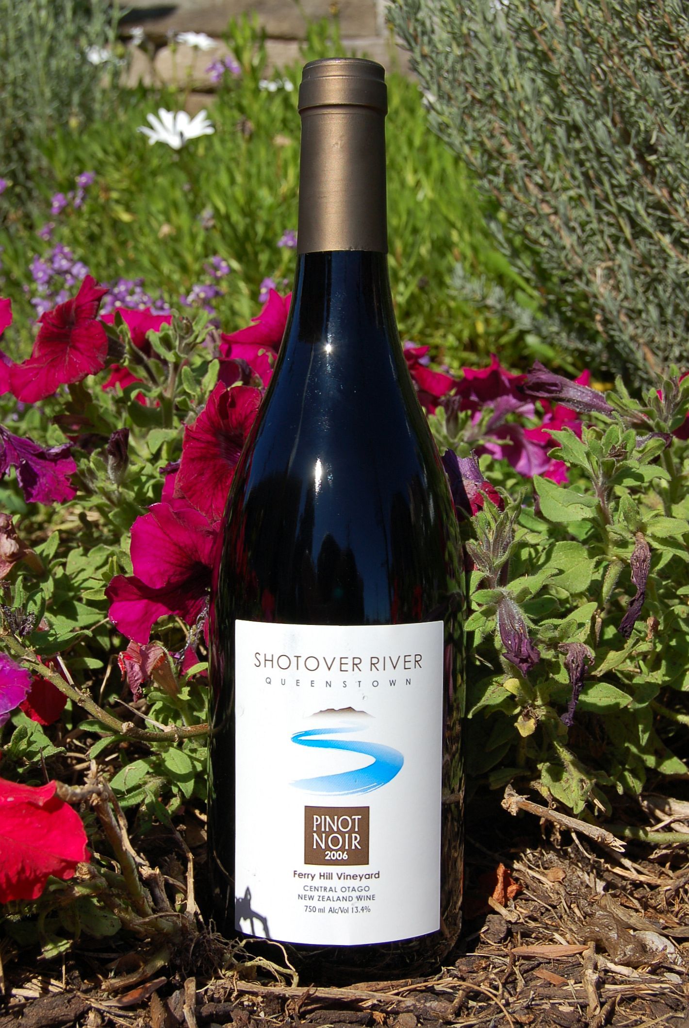 Shotover River Wine 2006 Pinot Noir 750ml Wine Bottle