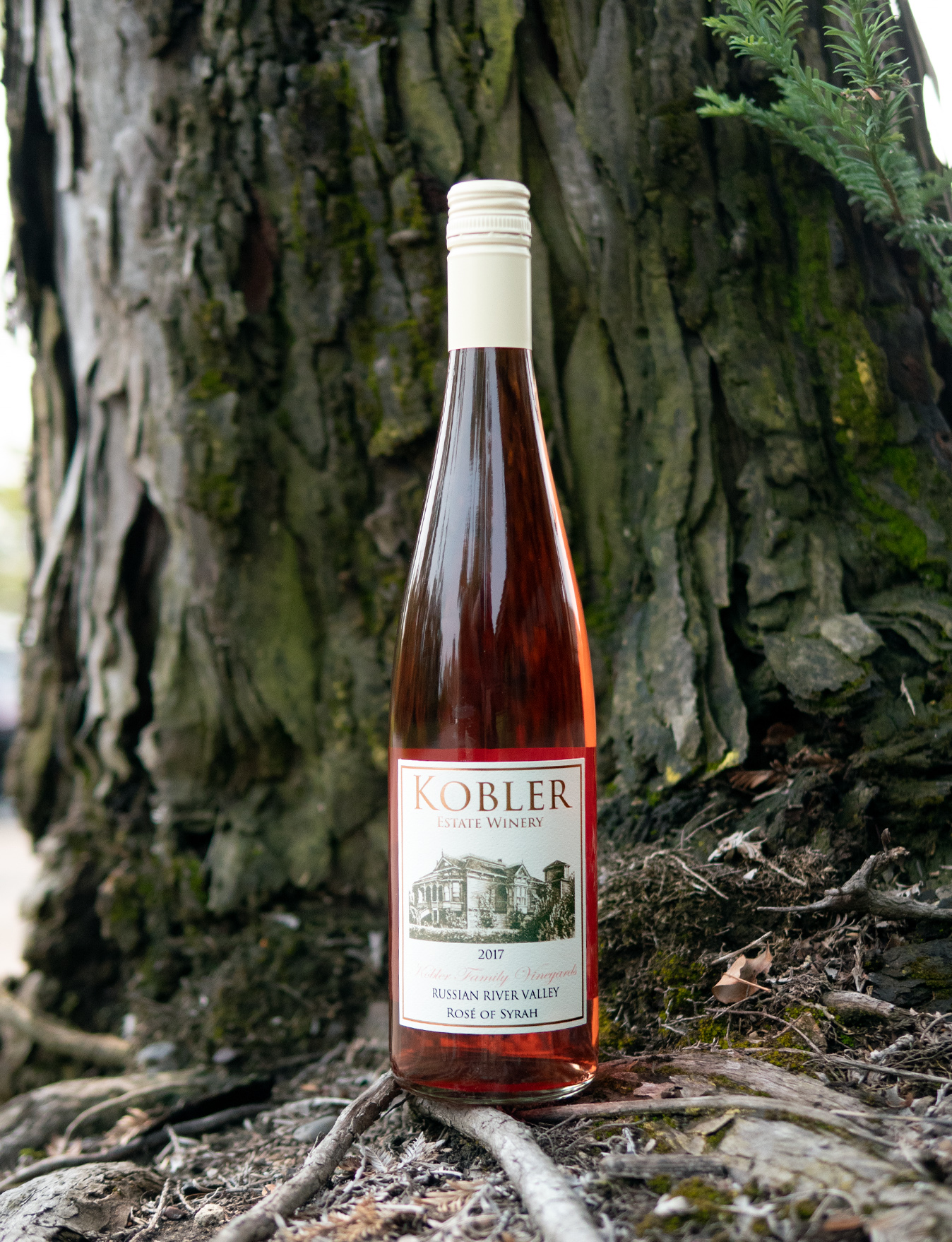 Kobler Estate Winery 2017 Kobler Family Vineyards Russian River Valley Rosé of Syrah 750ml Wine Bottle
