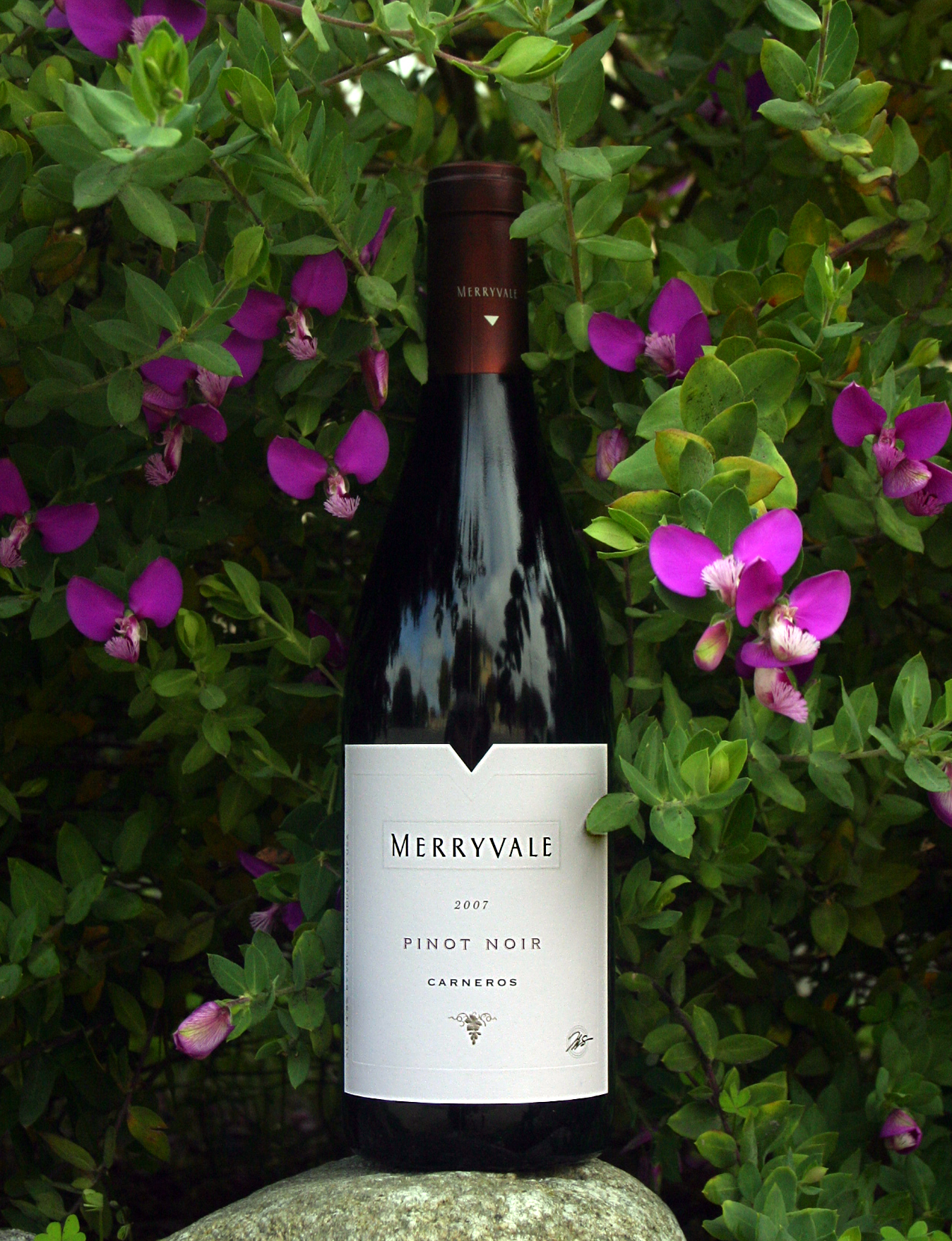 Merryvale Vineyards 2007 Pinot Noir, Carneros 750ml Wine Bottle