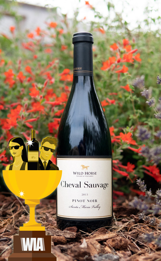 Wild Horse Winery and Vineyards 2013 "Cheval Sauvage" Santa Maria Valley Pinot Noir 750ml Wine Bottle