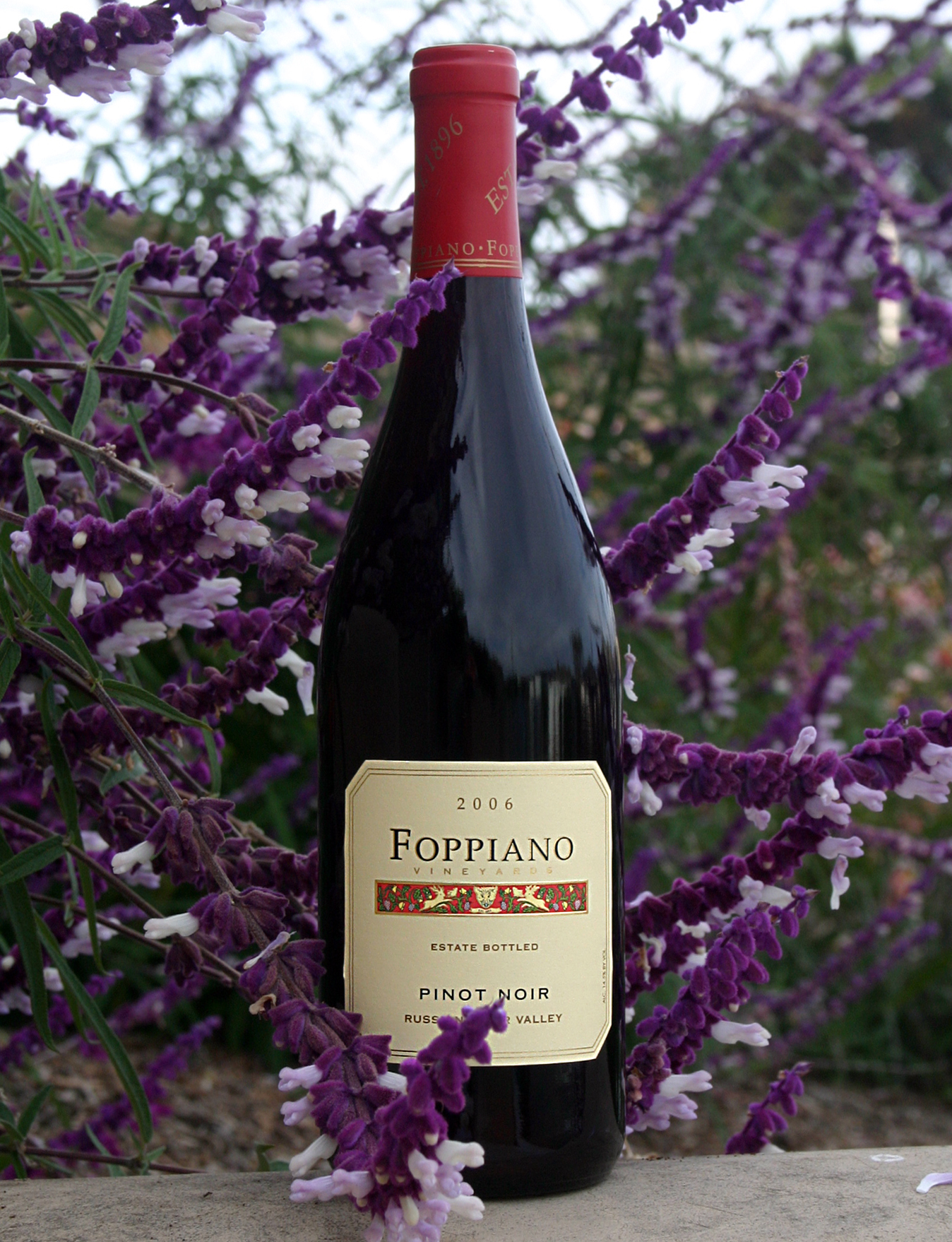 Foppiano Vineyards 2006 Pinot Noir, Russian River Estate 750ml Wine Bottle