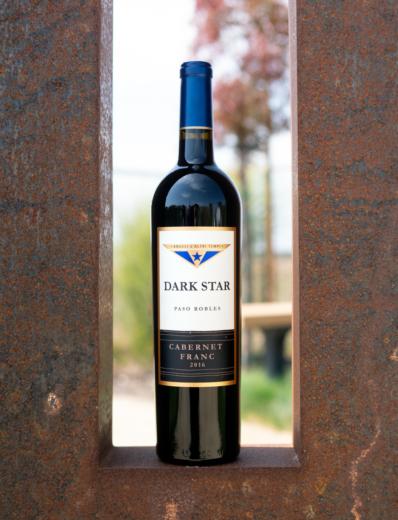 Dark Star Cellars 2016 Paso Robles Cabernet Franc 750ml Wine Bottle