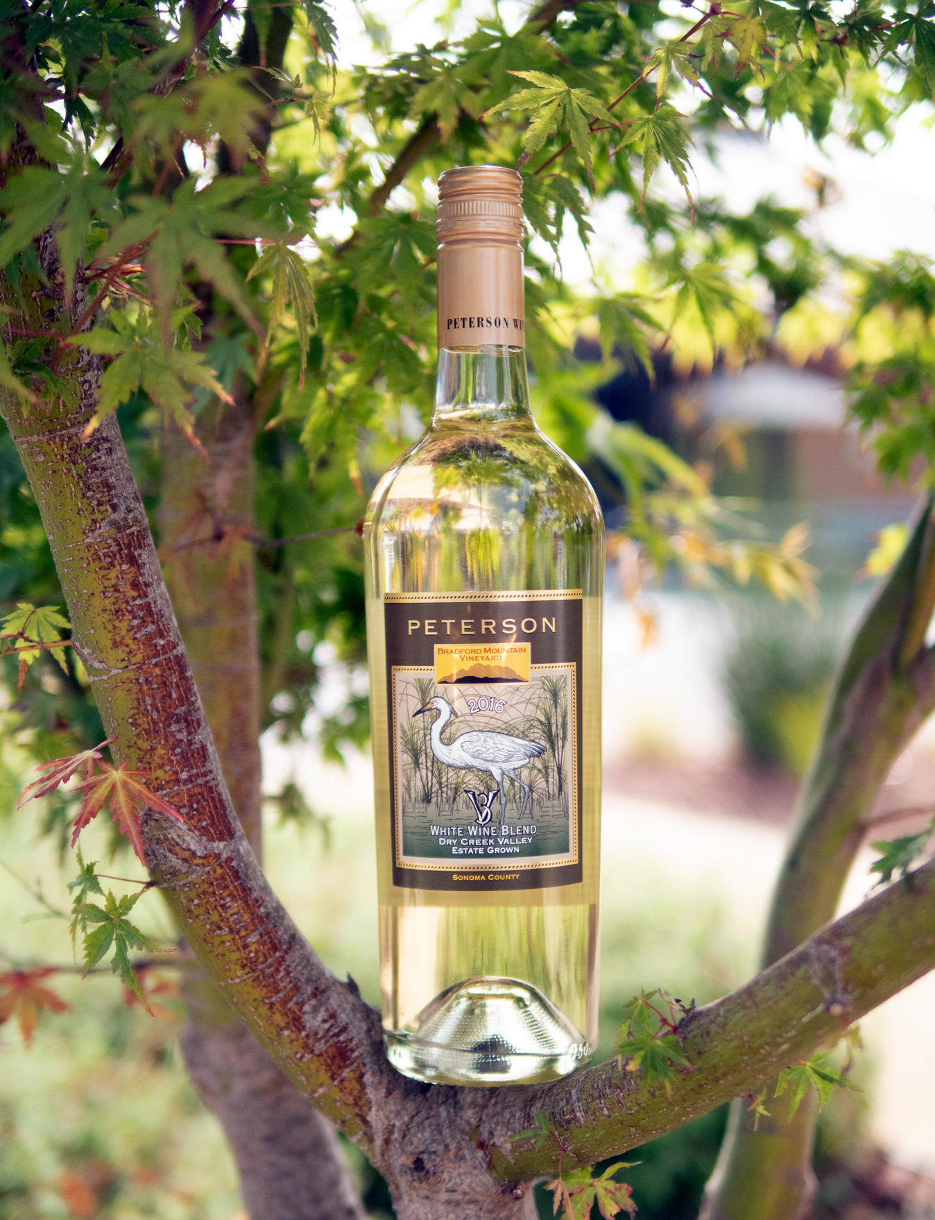 Peterson 2016 Estate Grown Dry Creek Valley "V3" White Wine Blend 750ml Wine Bottle