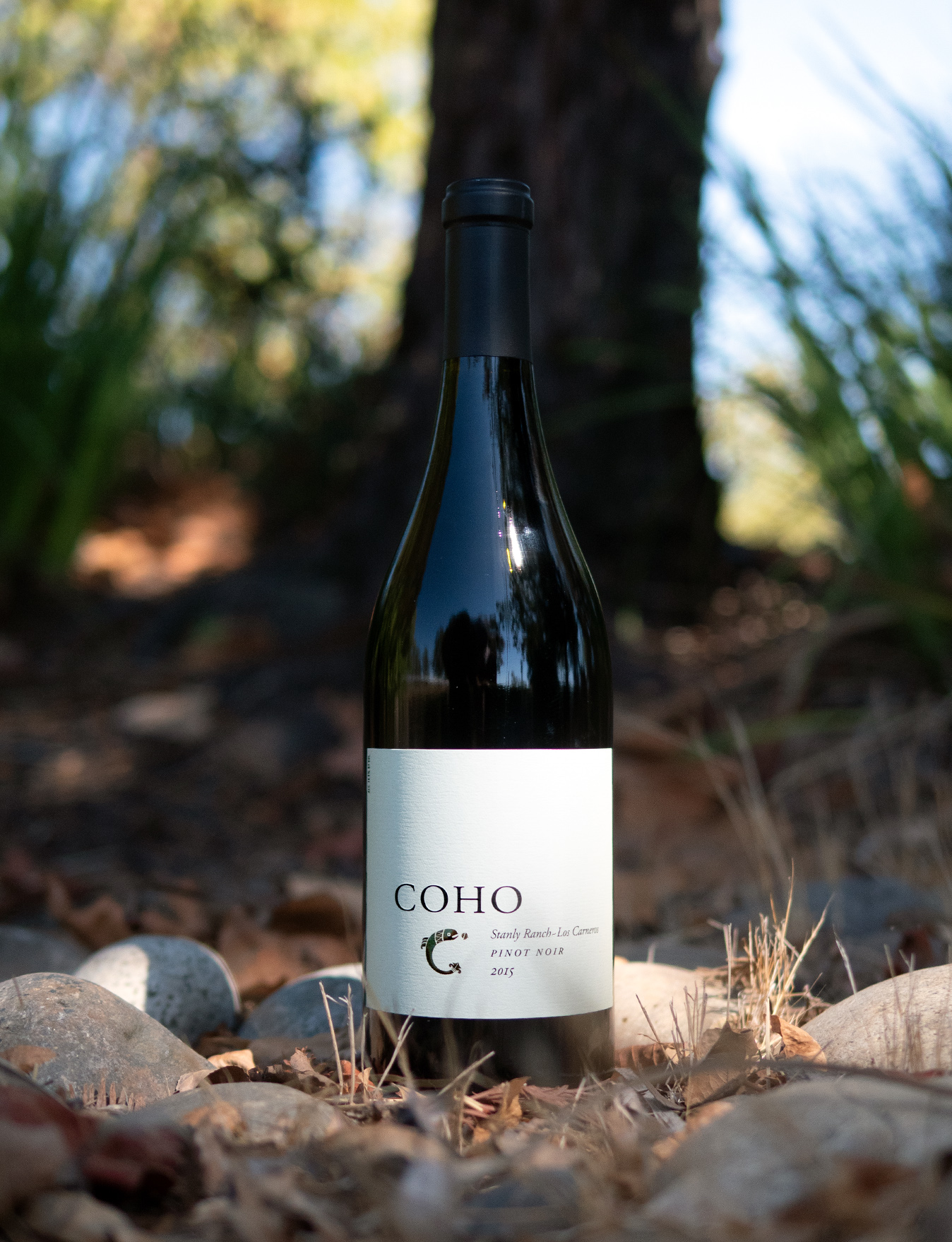 COHO 2015 Stanly Ranch Los Carneros Pinot Noir 750ml Wine Bottle