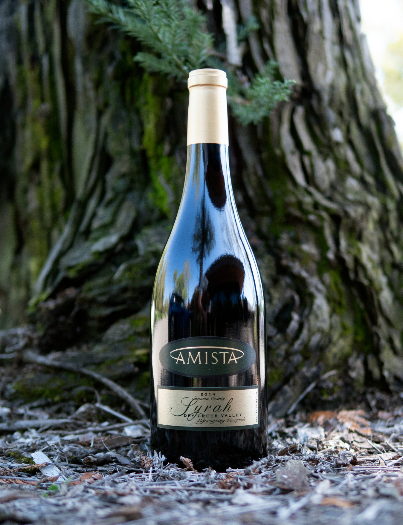 Amista Vineyards 2014 Dry Creek Valley Morningsong Vineyards Syrah 750ml Wine Bottle