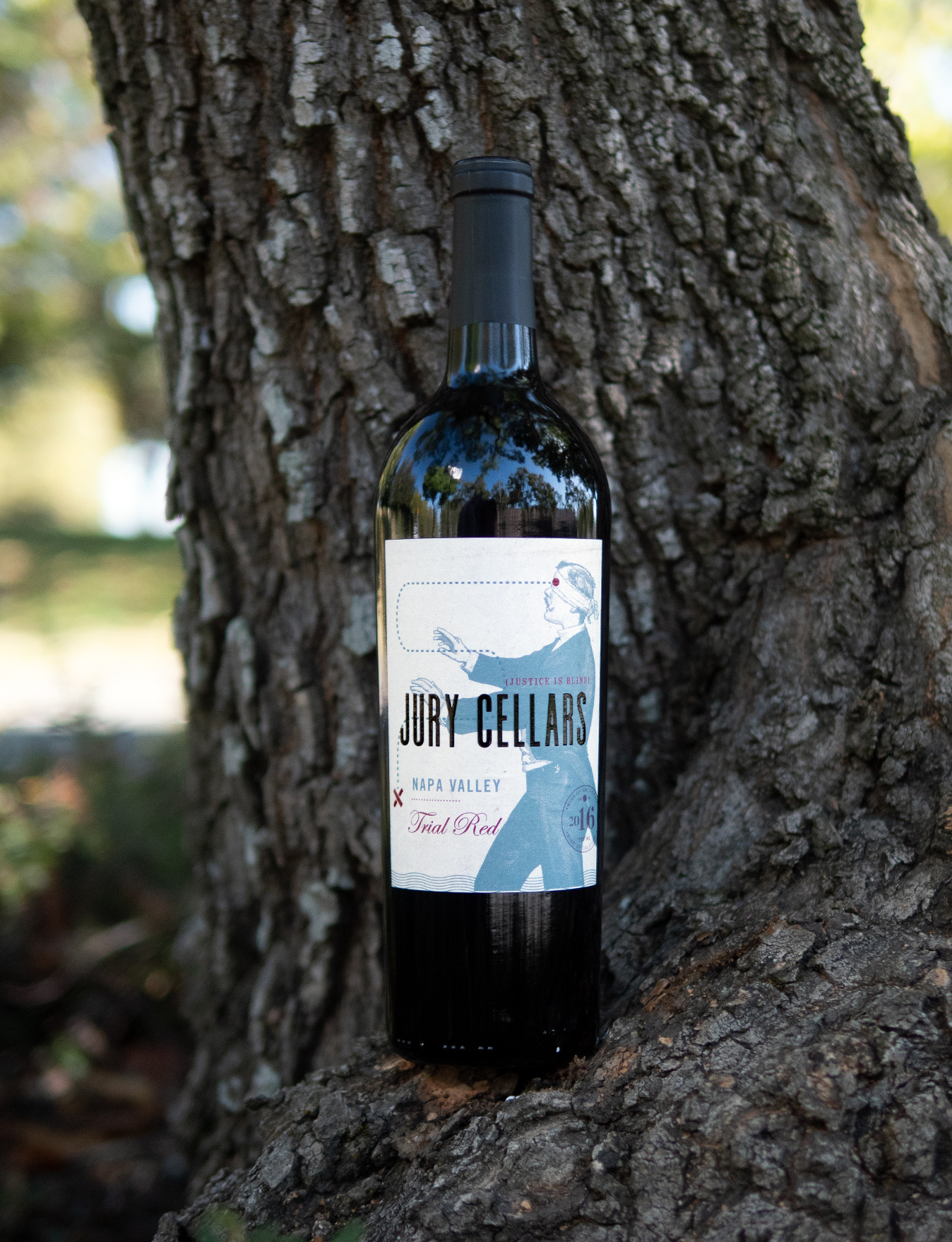 Jury Cellars 2016 "Trial Red" Napa Valley Red Blend 750ml Wine Bottle