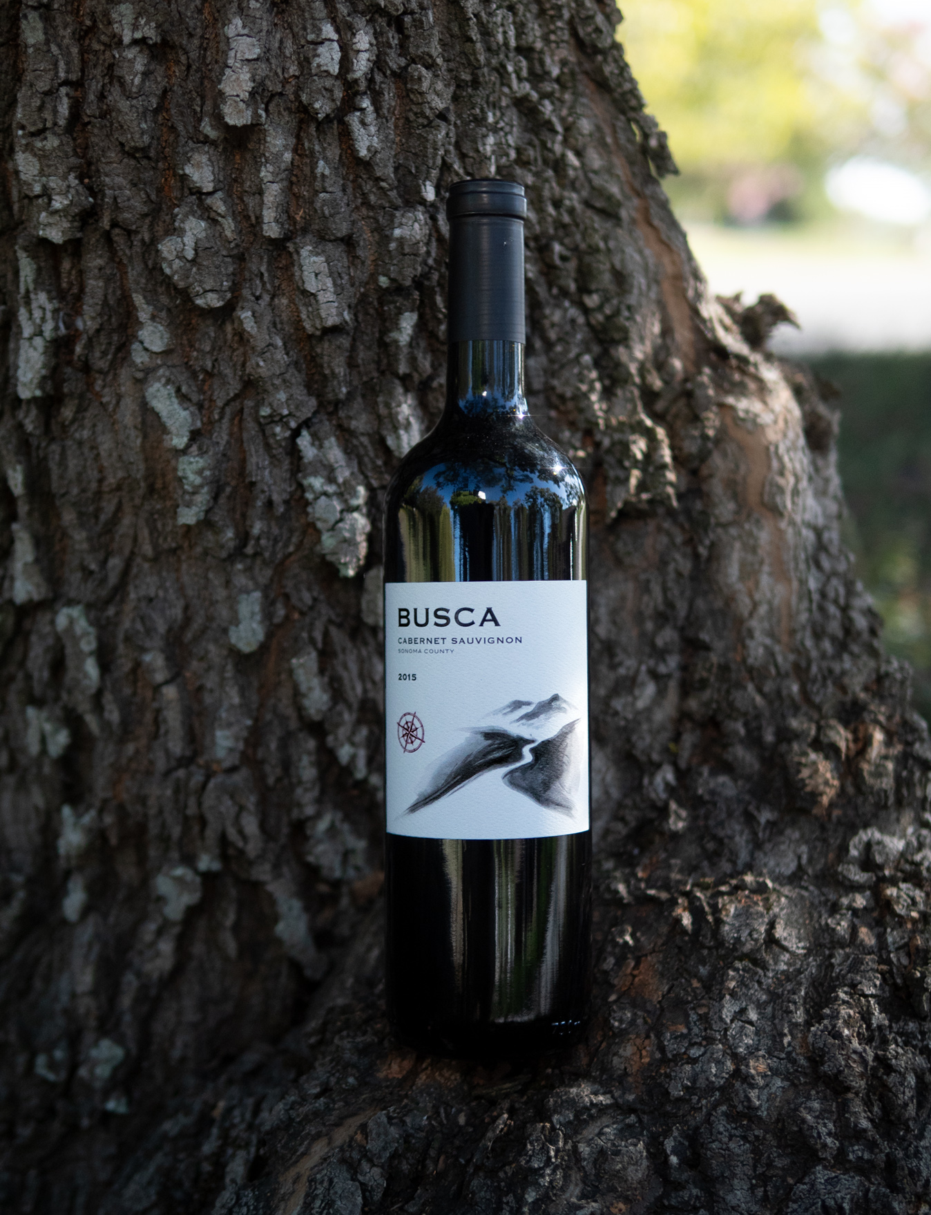 Busca Wines 2015 Sonoma County Cabernet Sauvignon 750ml Wine Bottle
