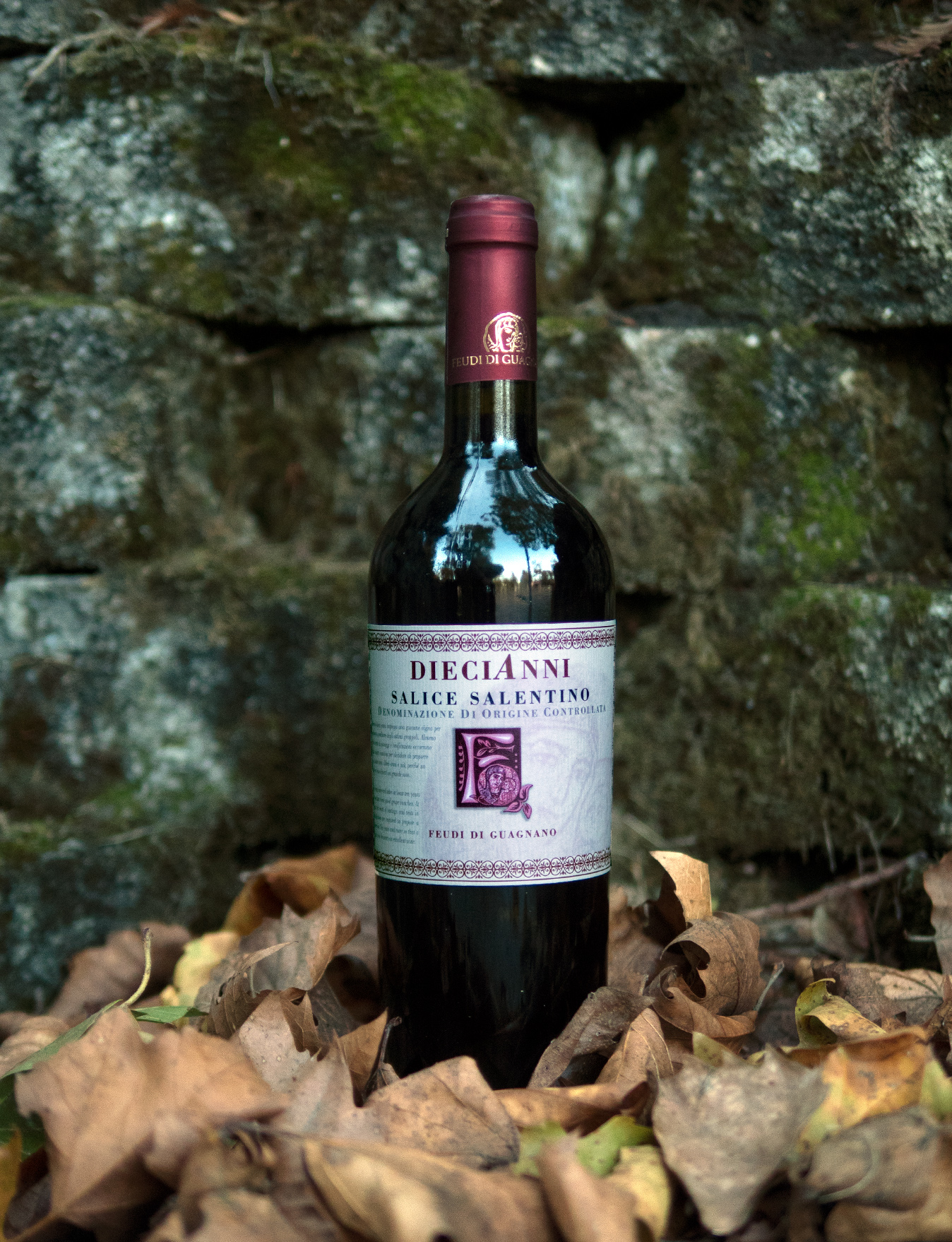 Feudi di Guagnano 2013 "DieciaAnni" Salice Salentino DOC Negroamaro 750ml Wine Bottle