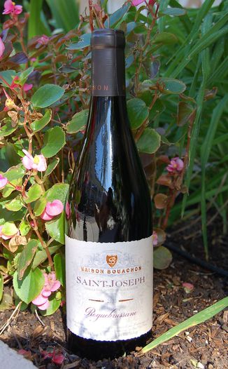 Skalli Grand Vin du Rhone 2003 Roquebrussane - Saint Joseph 750ml Wine Bottle