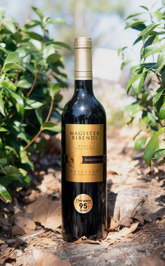 Navarrsotillo 2010 "Magister Bibendi" Reserve Rioja DOC Graciano 750ml Wine Bottle