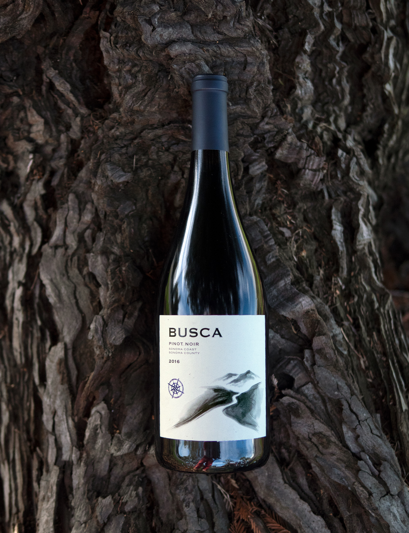 Busca Wines 2016 Sonoma Coast Sonoma County Pinot Noir 750ml Wine Bottle