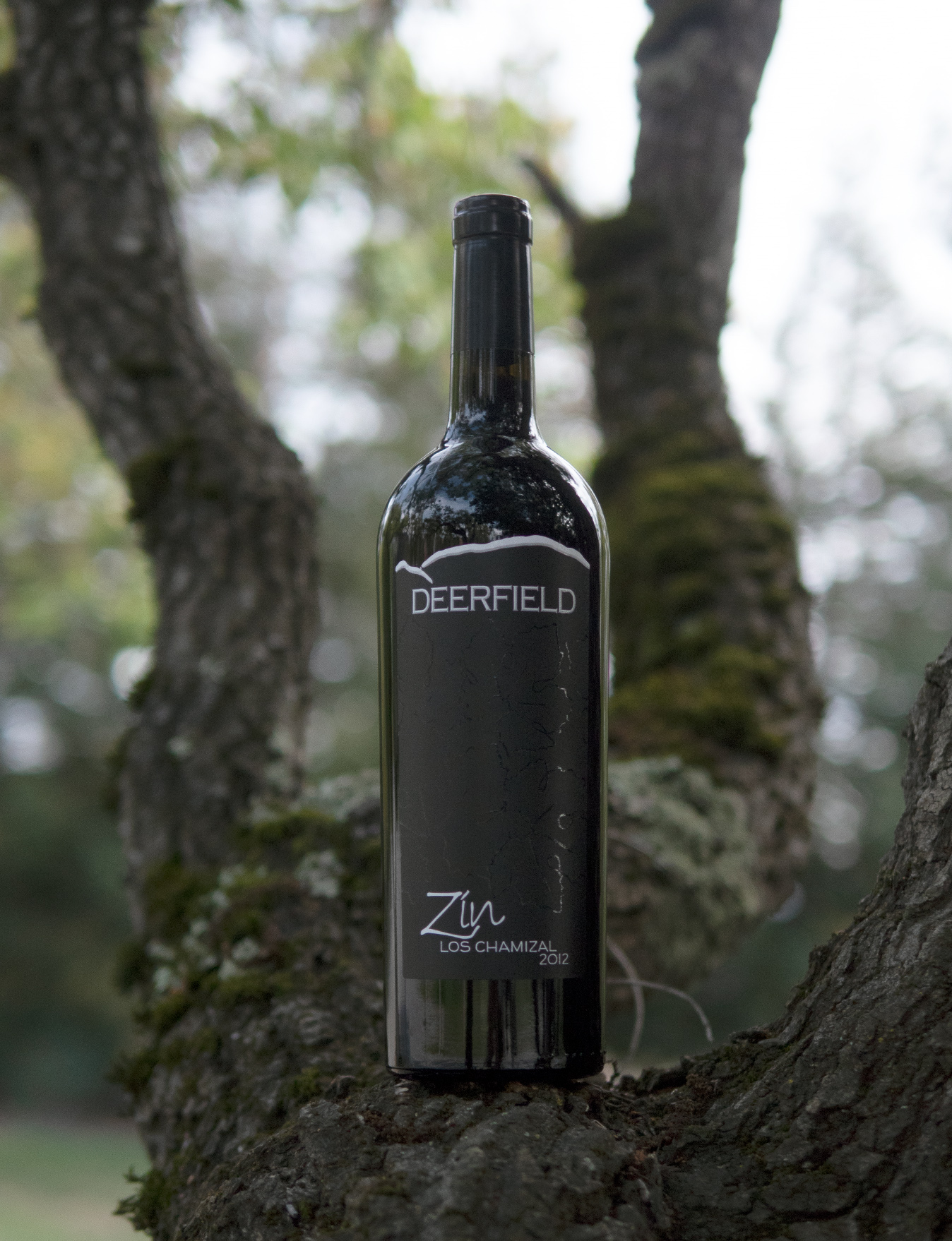 Deerfield Ranch 2012 Los Chamizal Vineyard Sonoma Valley Zin 750ml Wine Bottle