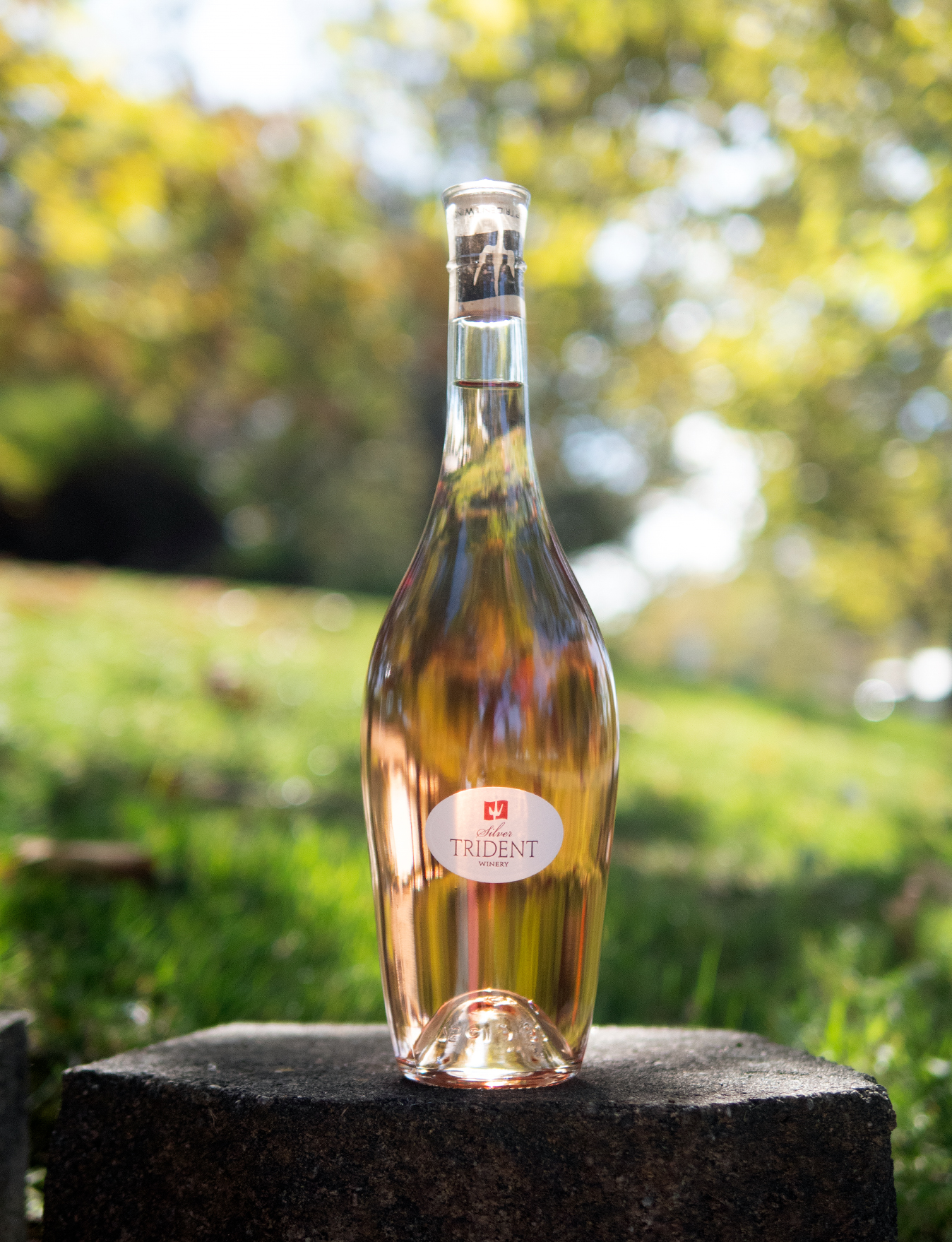 Silver Trident Winery 2017 Apollo's Folly Mendocino County Rosé of Pinot Noir 750ml Wine Bottle