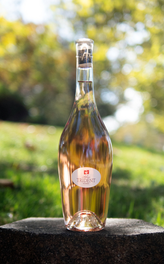Silver Trident Winery 2017 Apollo's Folly Mendocino County Rosé of Pinot Noir 750ml Wine Bottle